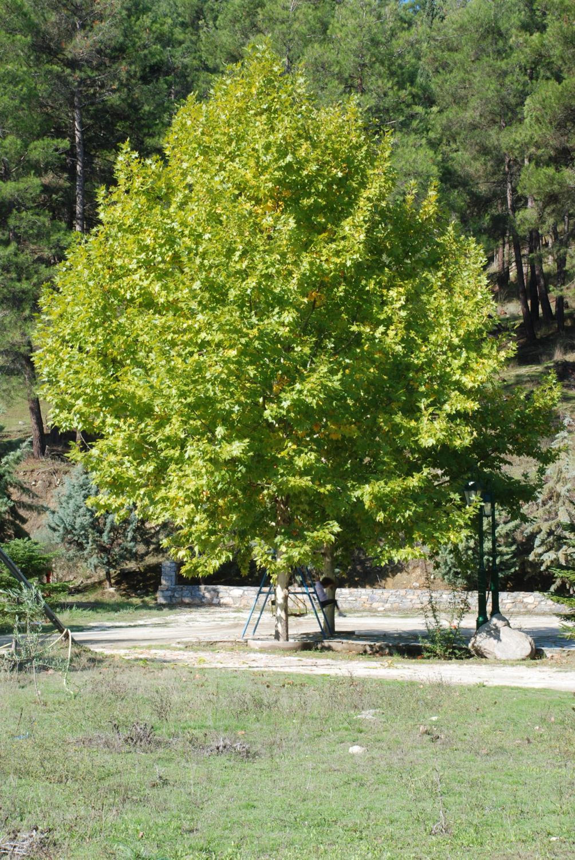 Photo 25