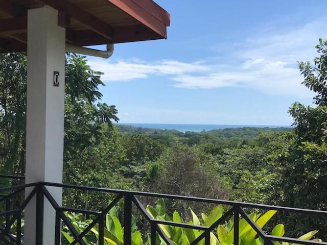 Villas Lambeau Ocean View 1 view 4