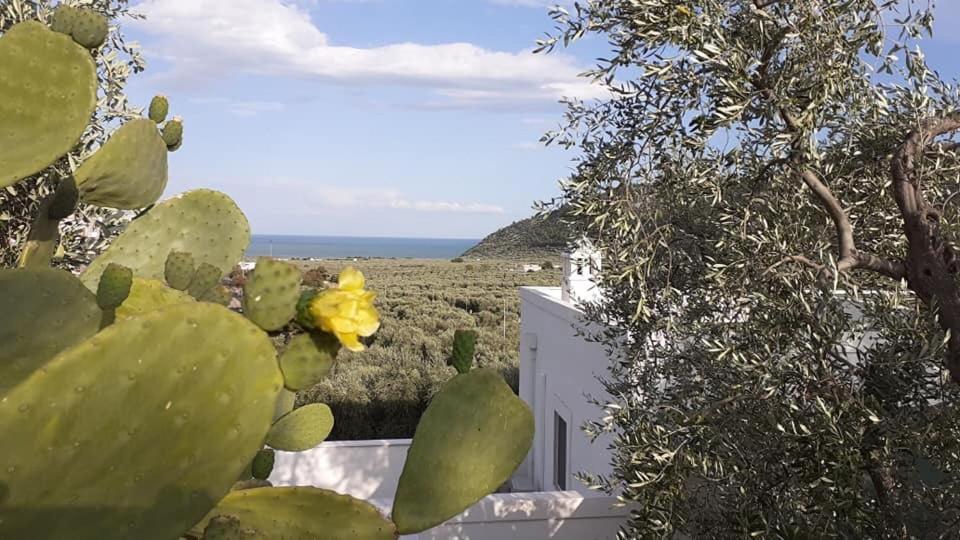 Agriturismo Giorgio