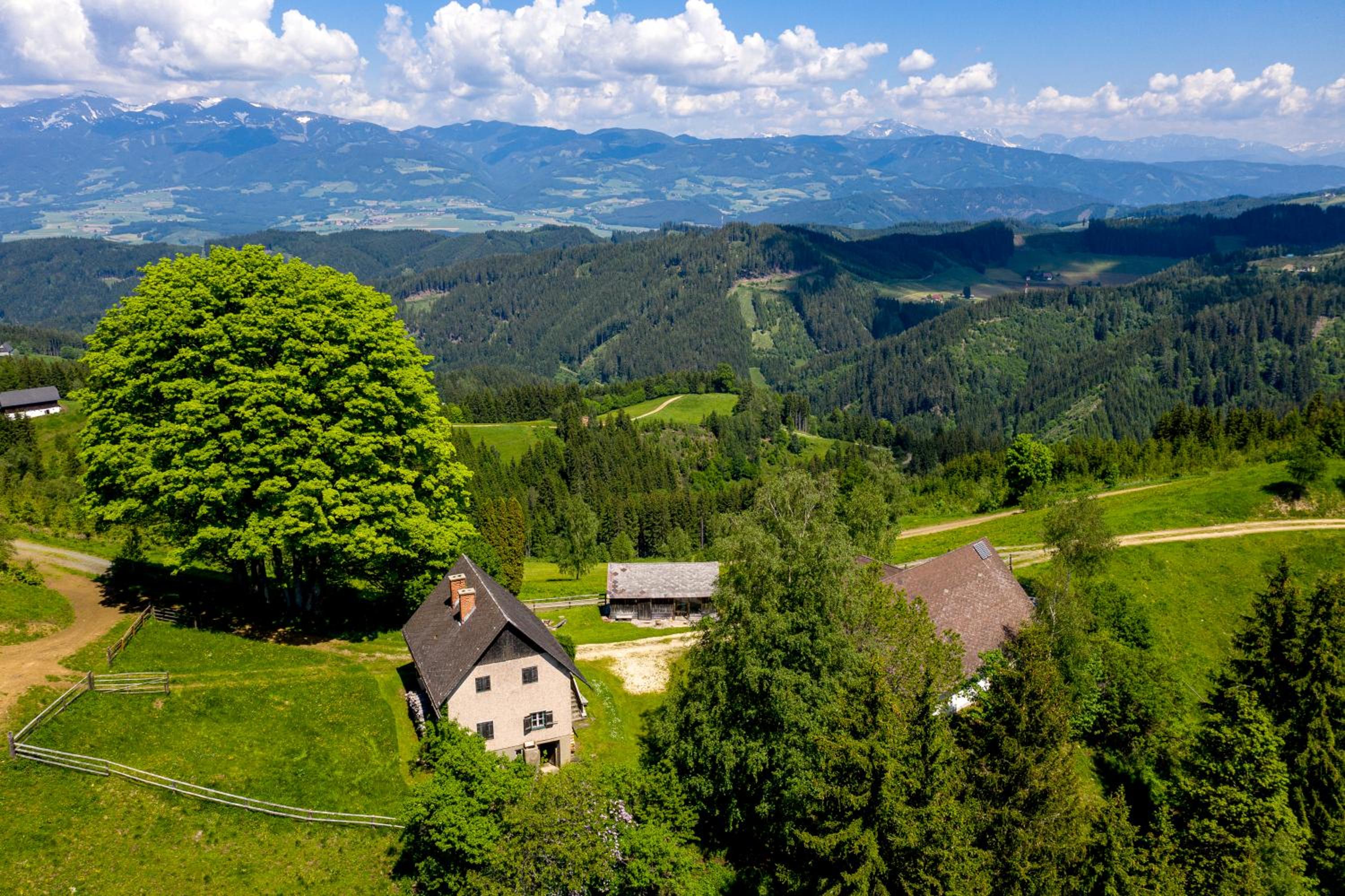 Roatmoaralm Almhütte