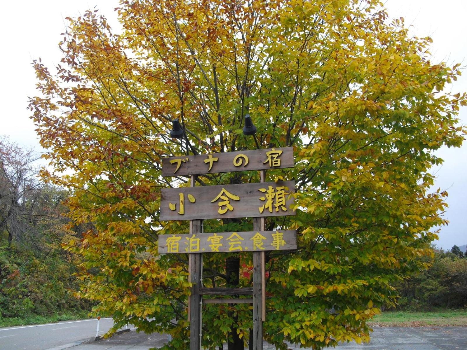 Bunanoyado Koase