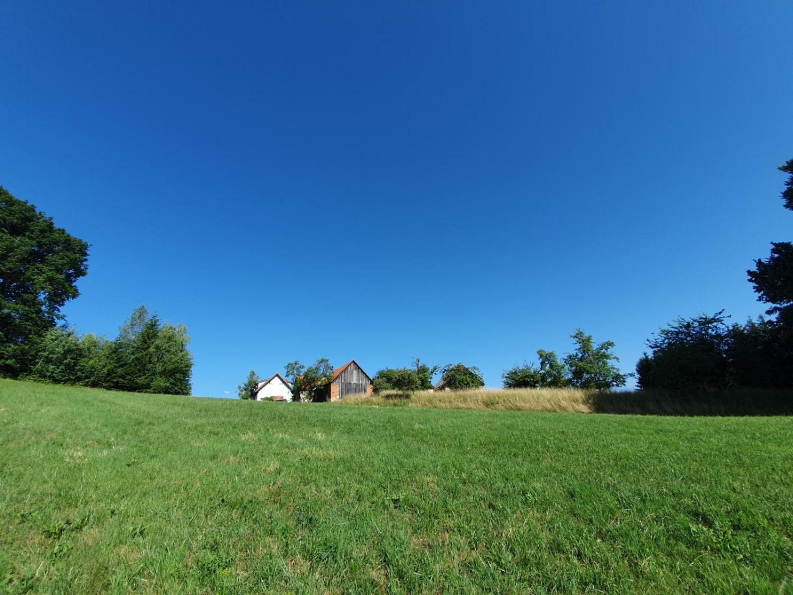 Ferienwohnung am Trausdorfberg - Rosenblick