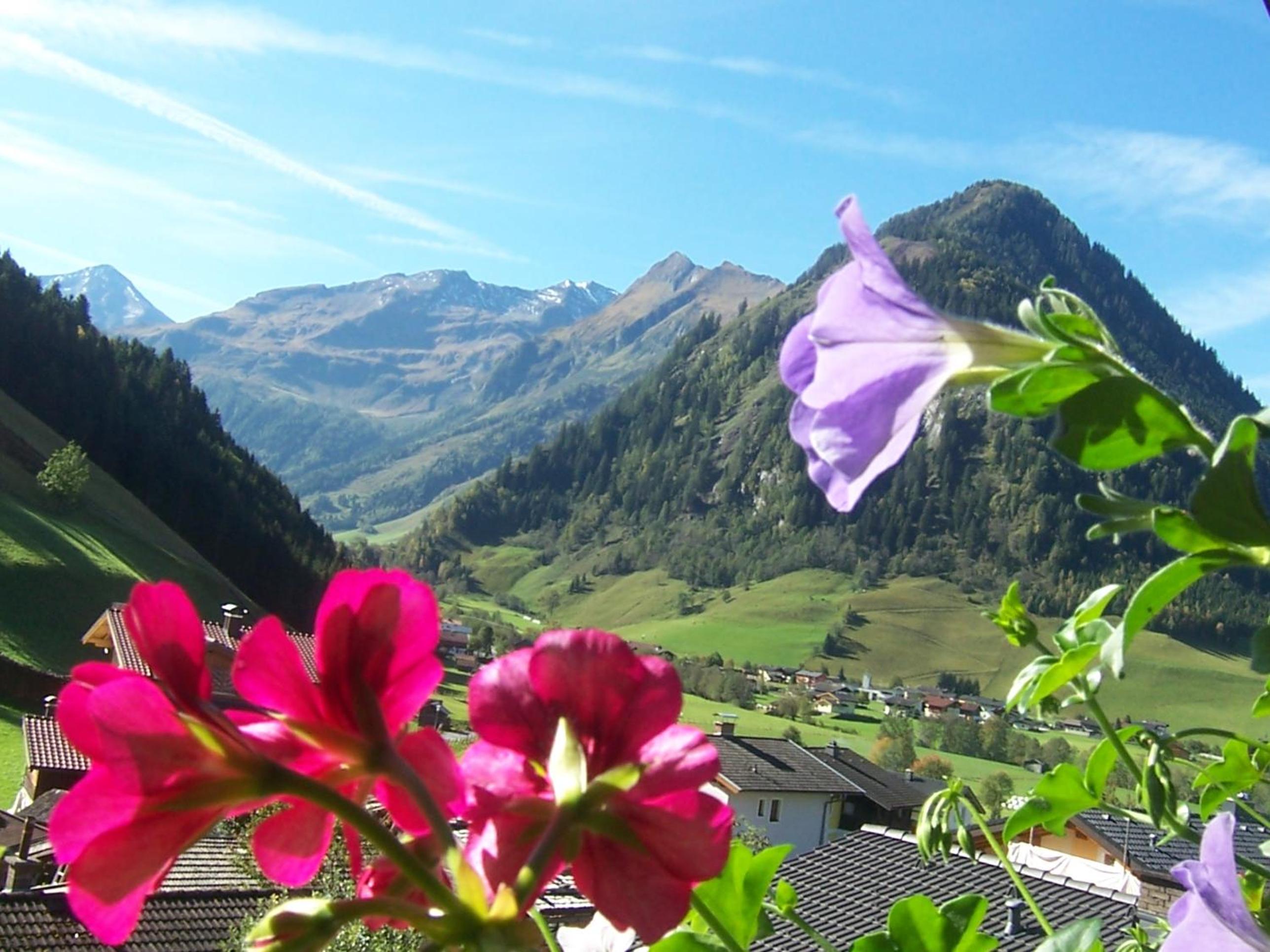 Frühstücks- Pension Sonnblickhof