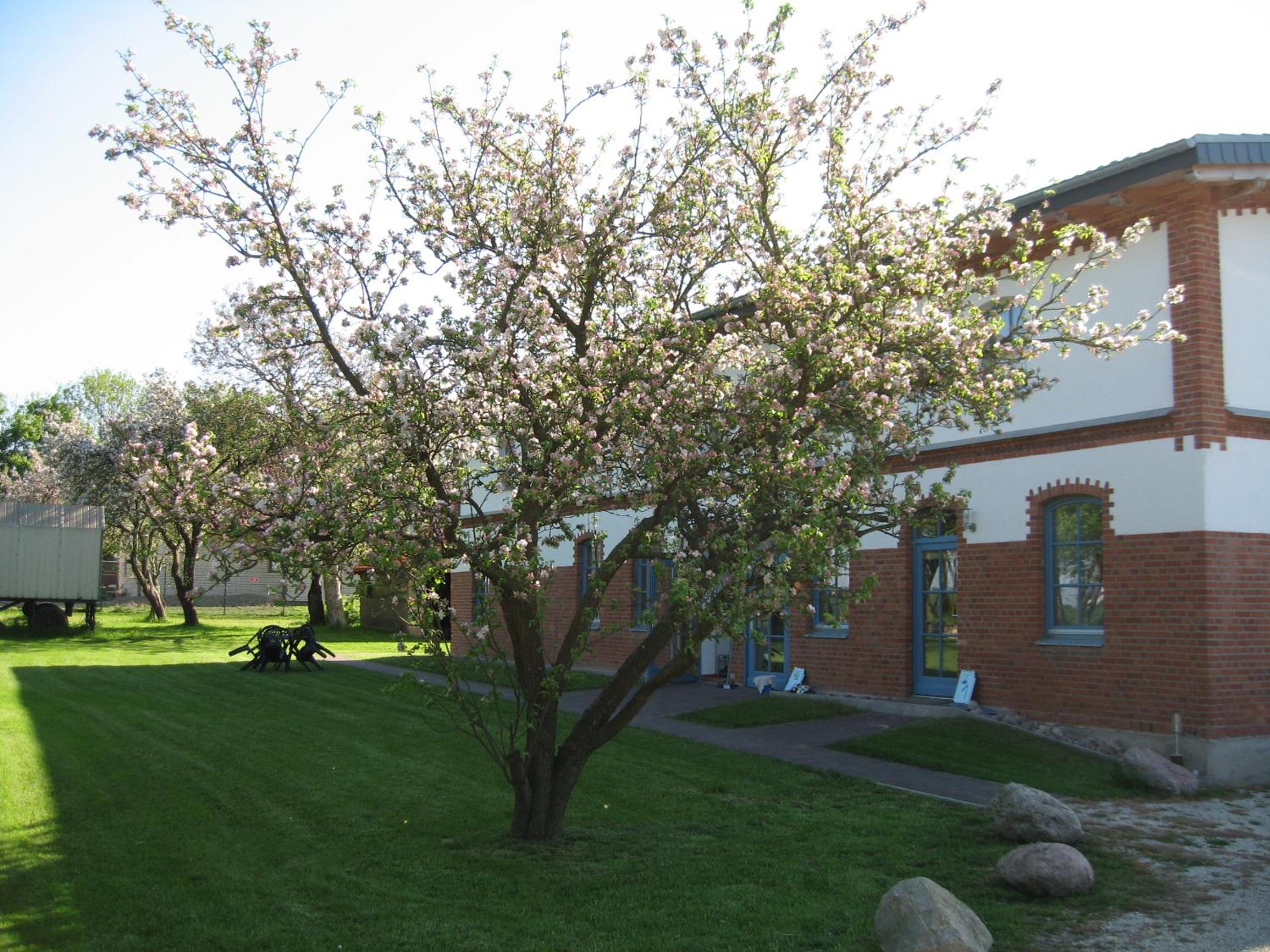 Photo 27