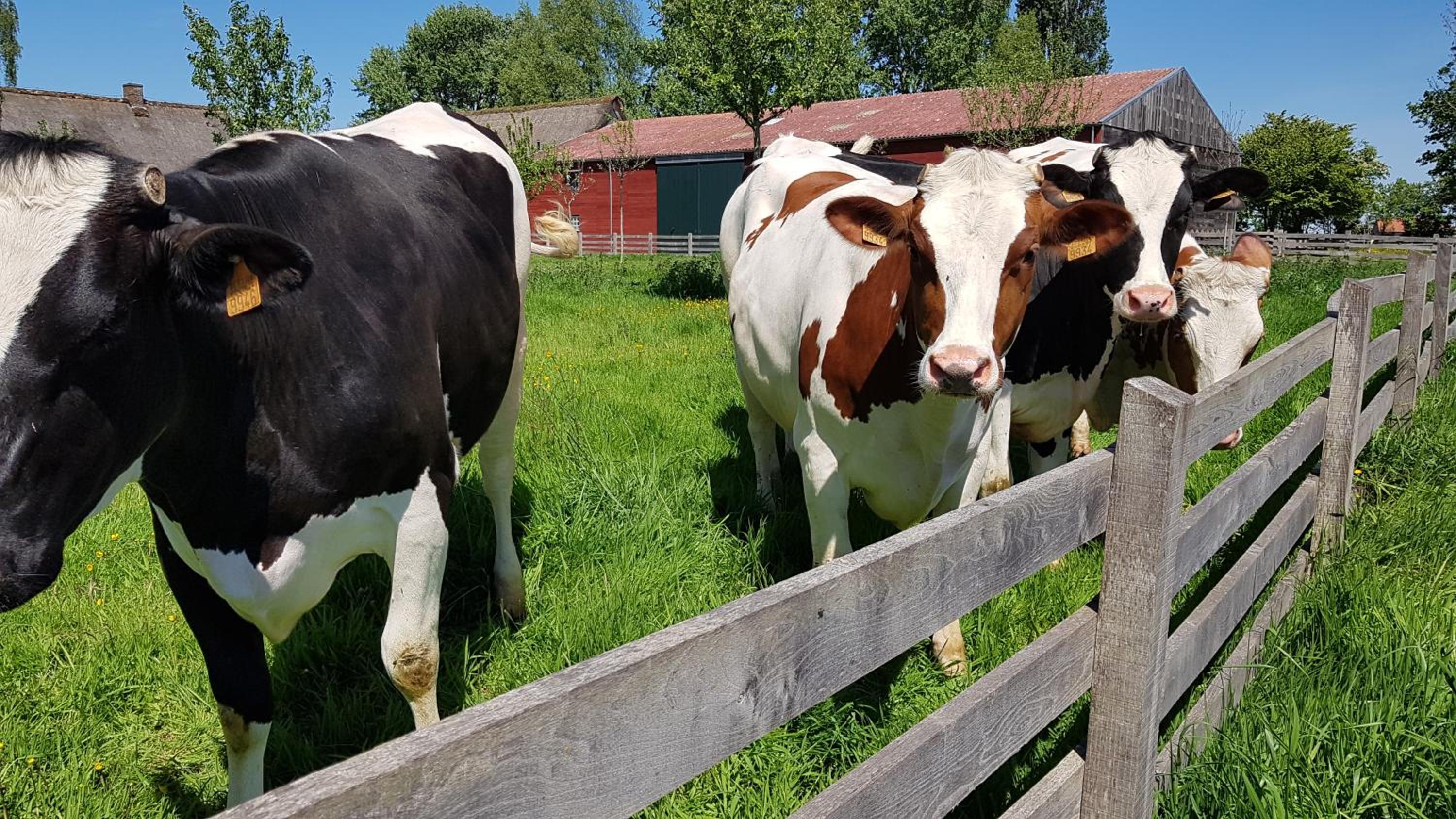 Ter Winterbeke op een steenworp van Poperinge
