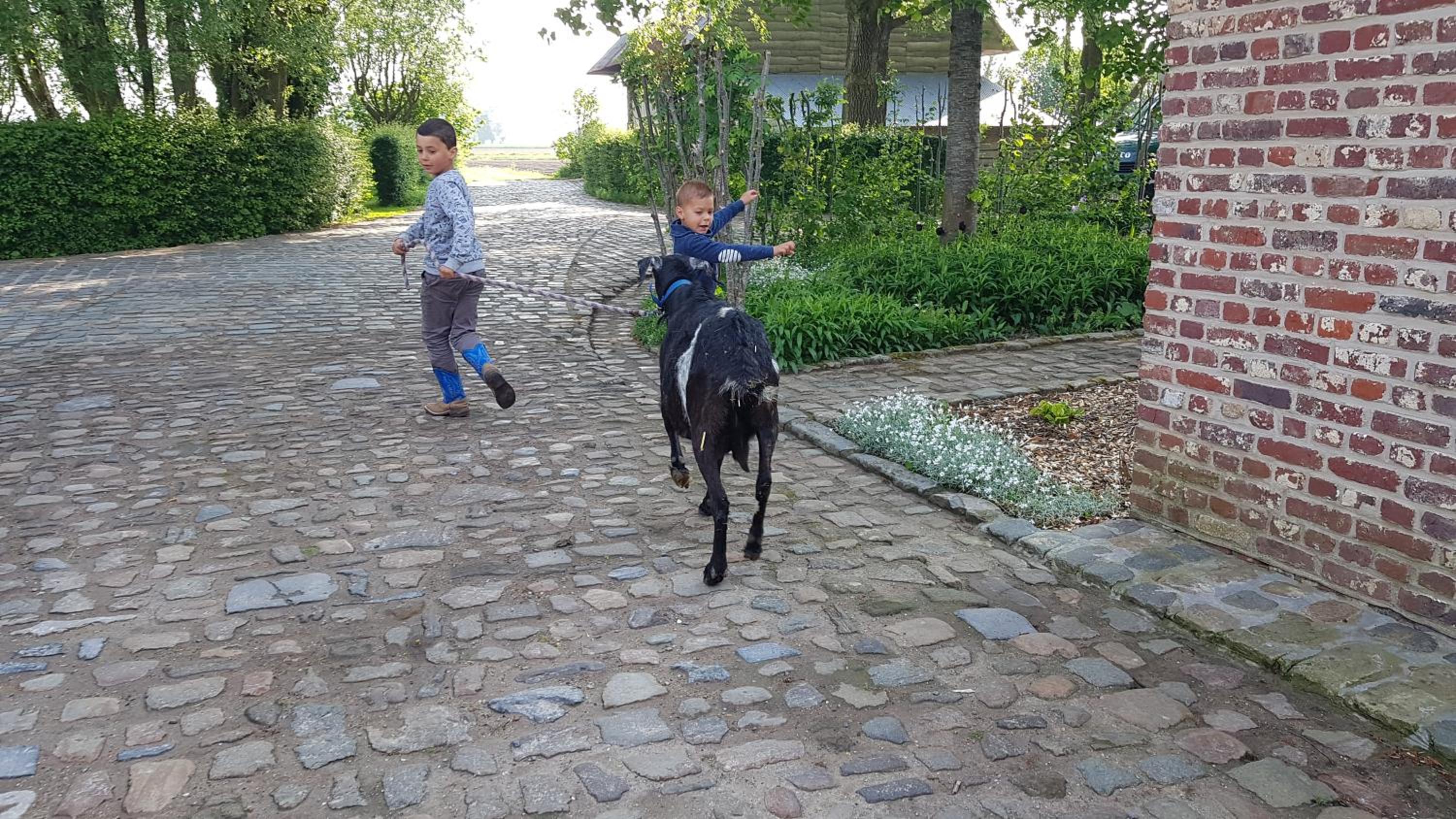 Ter Winterbeke op een steenworp van Poperinge