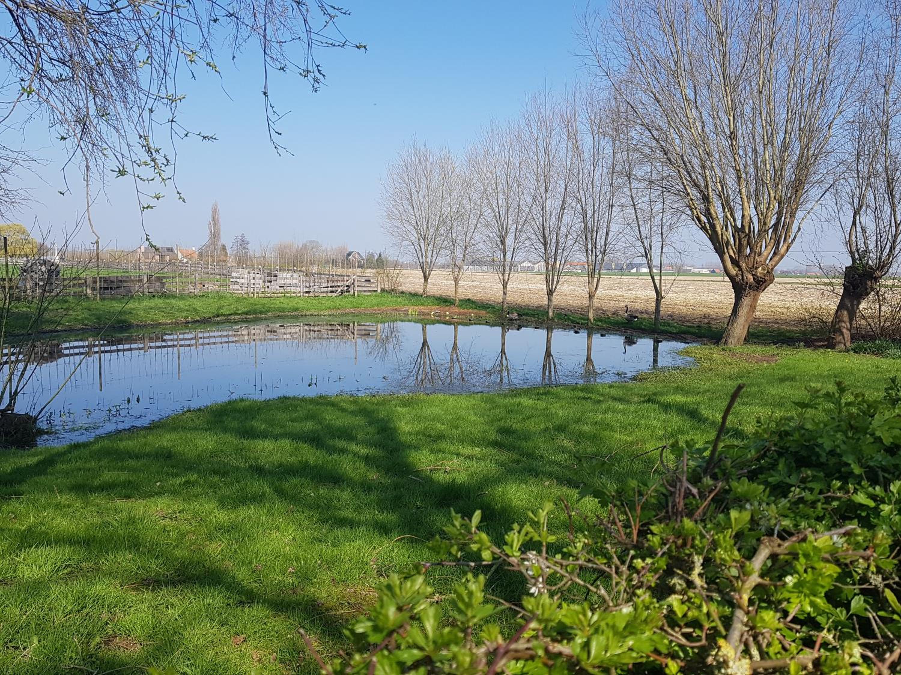 Ter Winterbeke op een steenworp van Poperinge