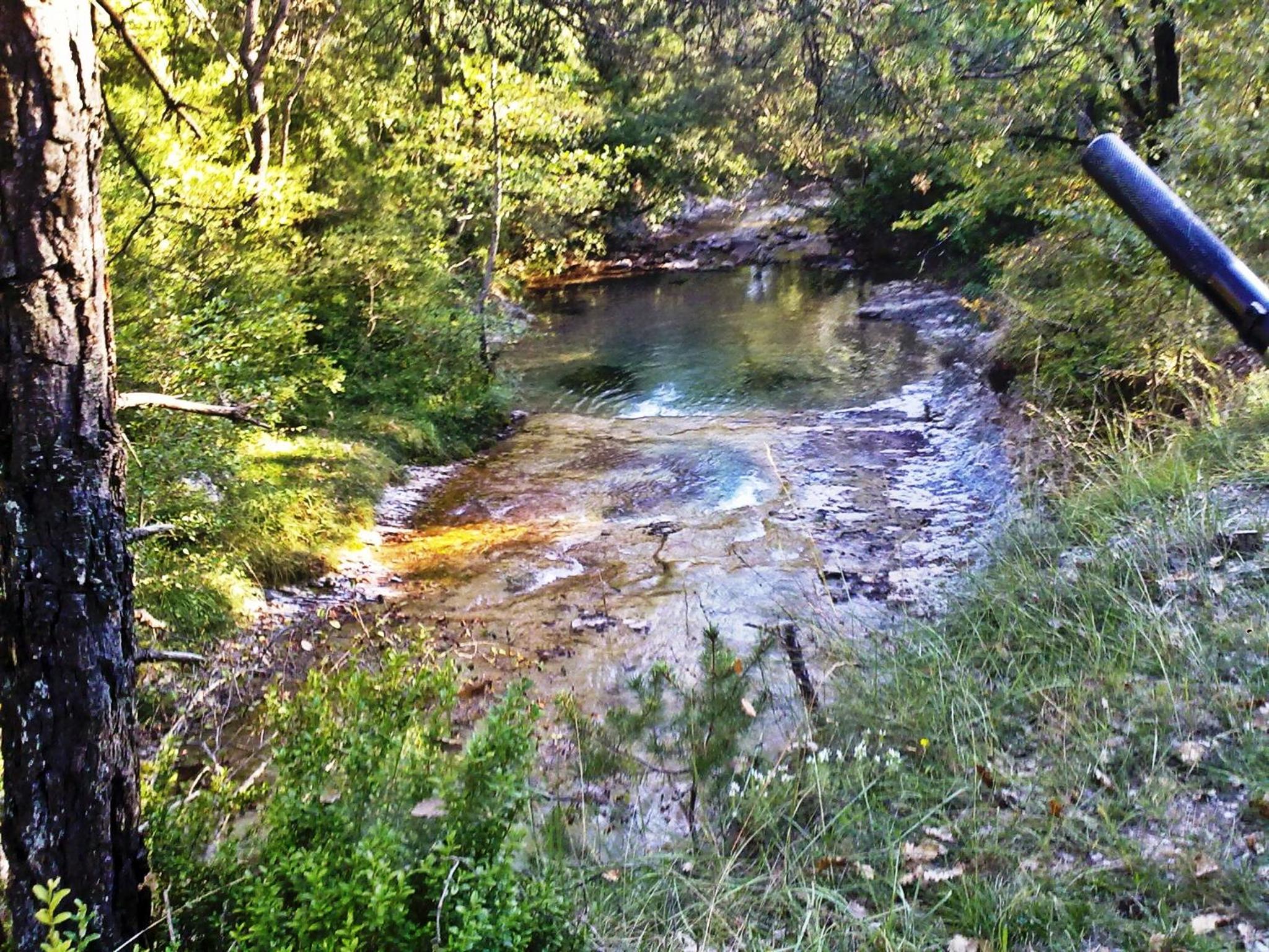 Camping L'Espelt
