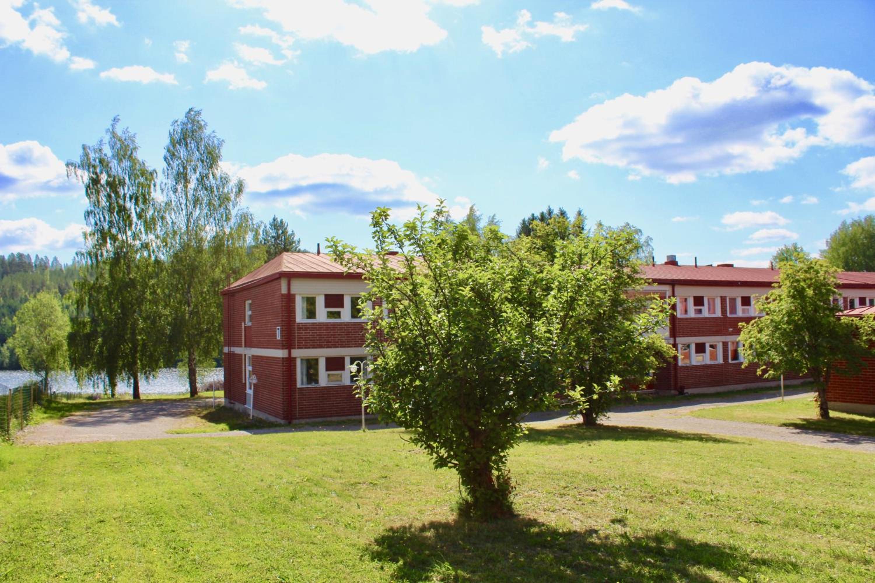 Old School, photo 12