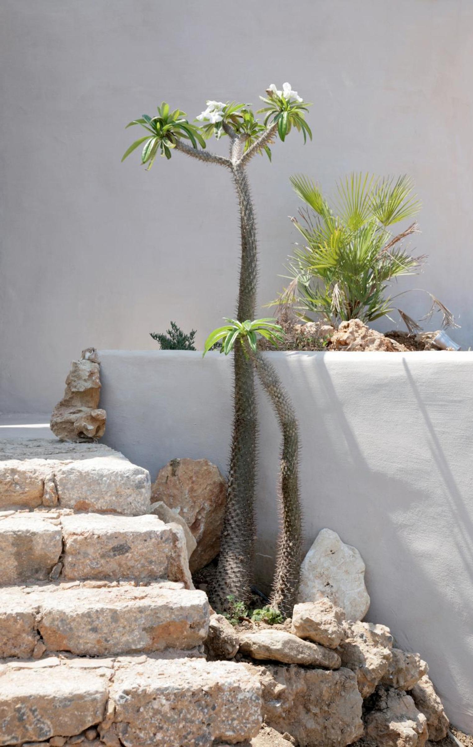 Photo 45