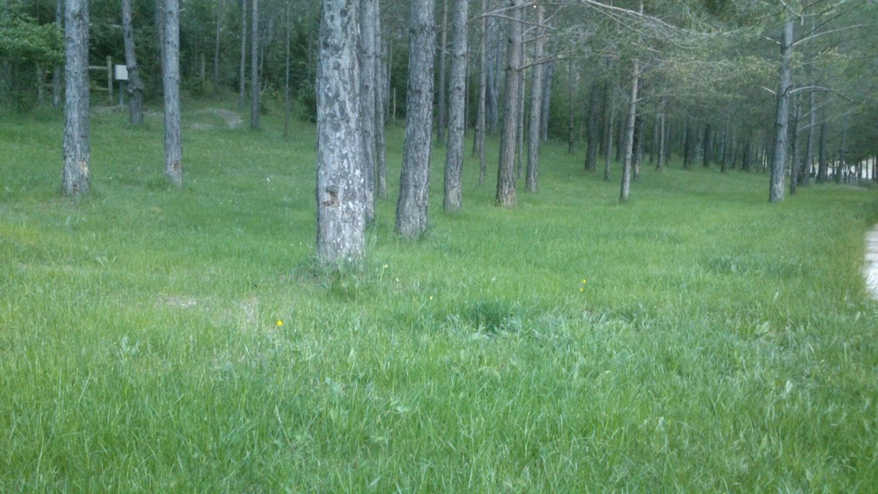 Camping L'Espelt