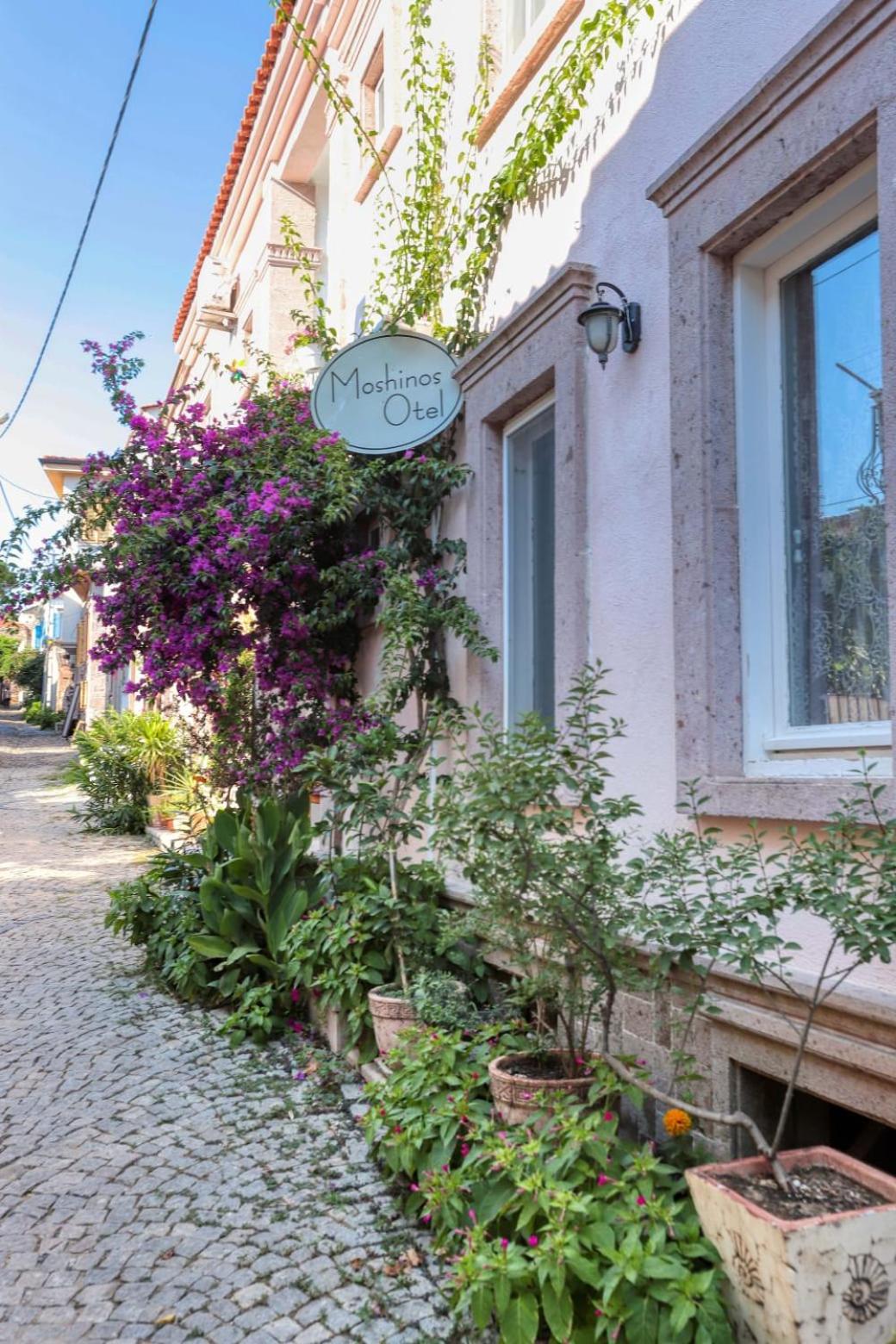 Hotel Moshinos Hotel - Image 1