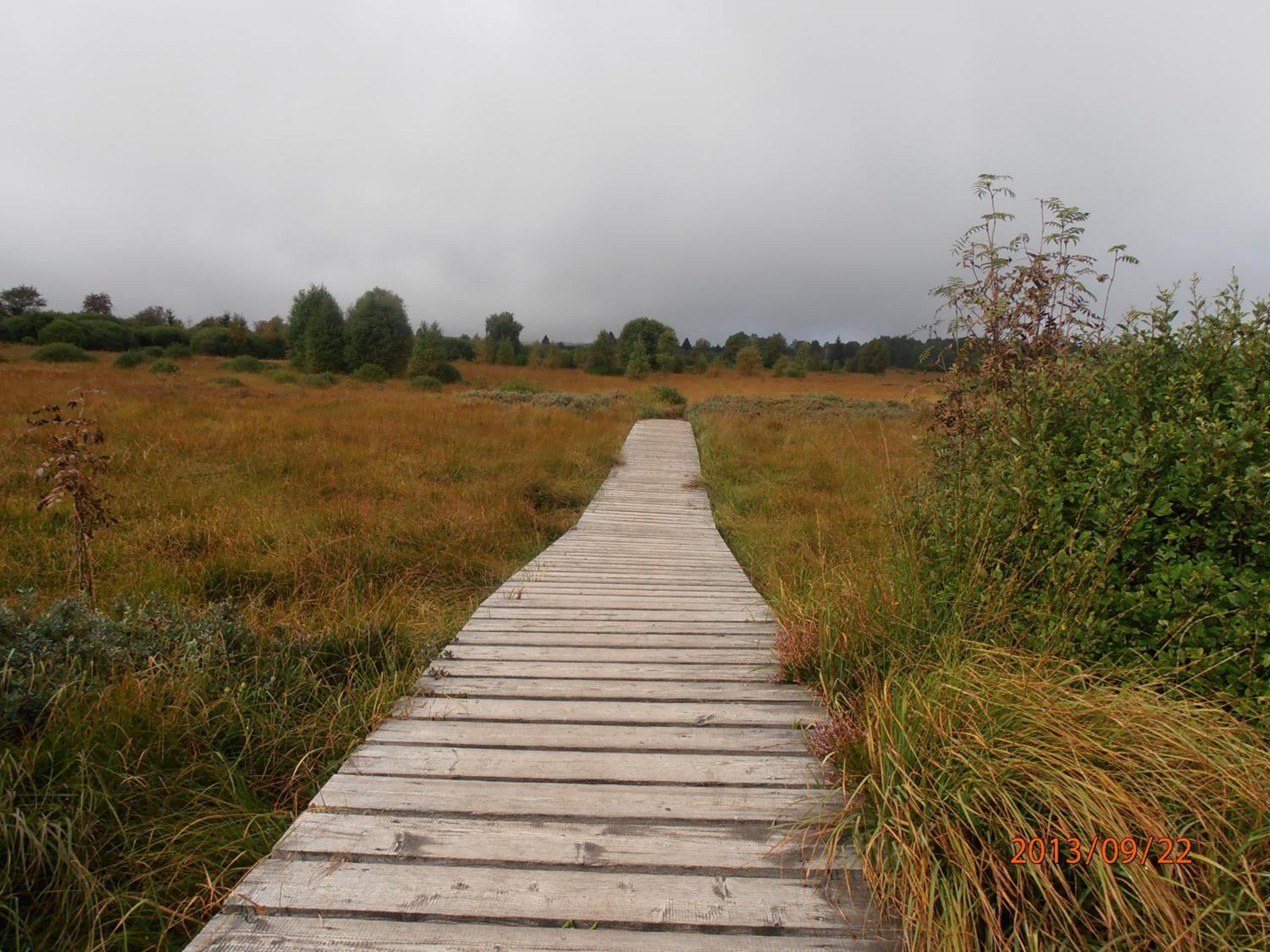 Photo 33