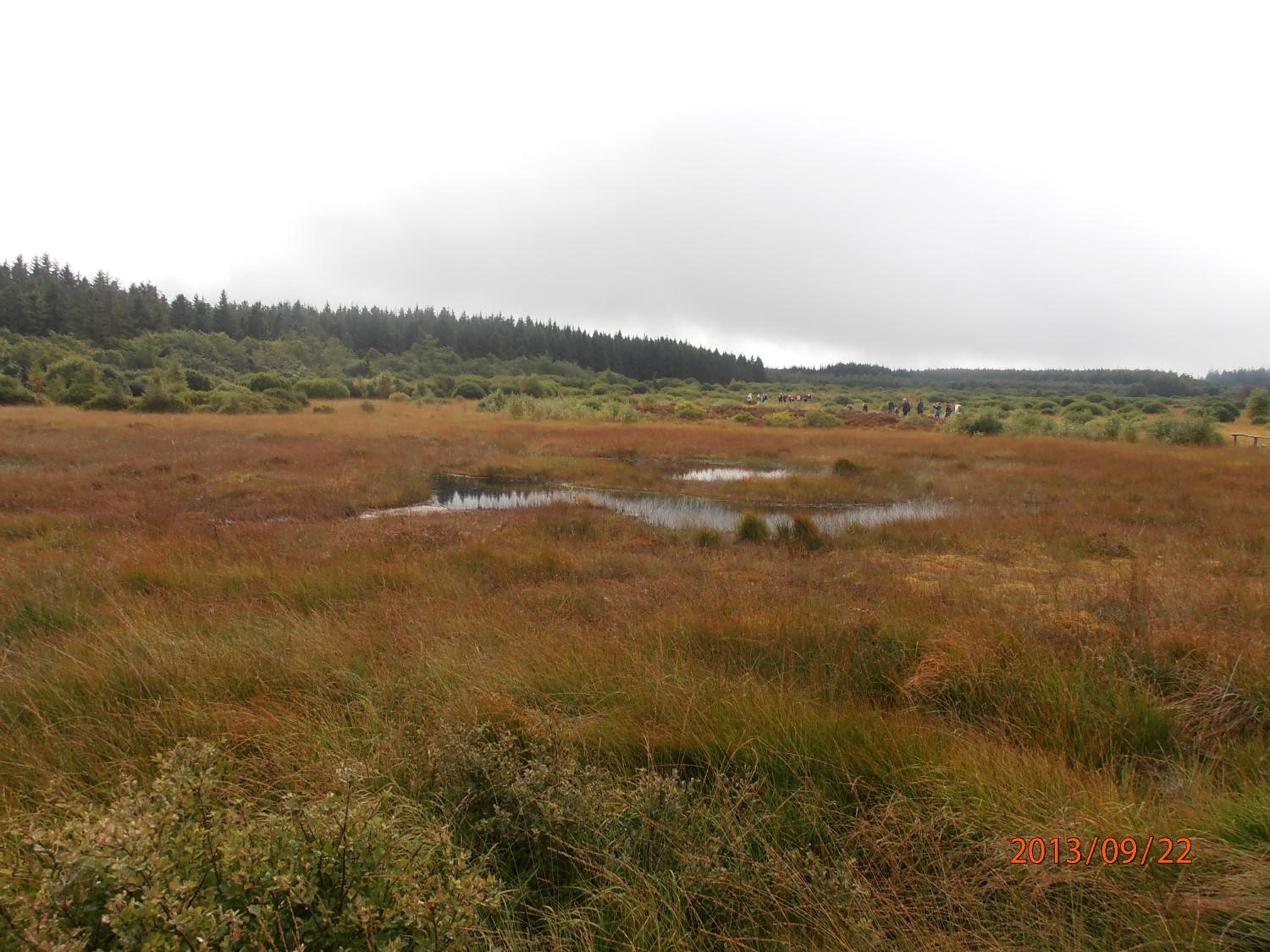 Photo 34