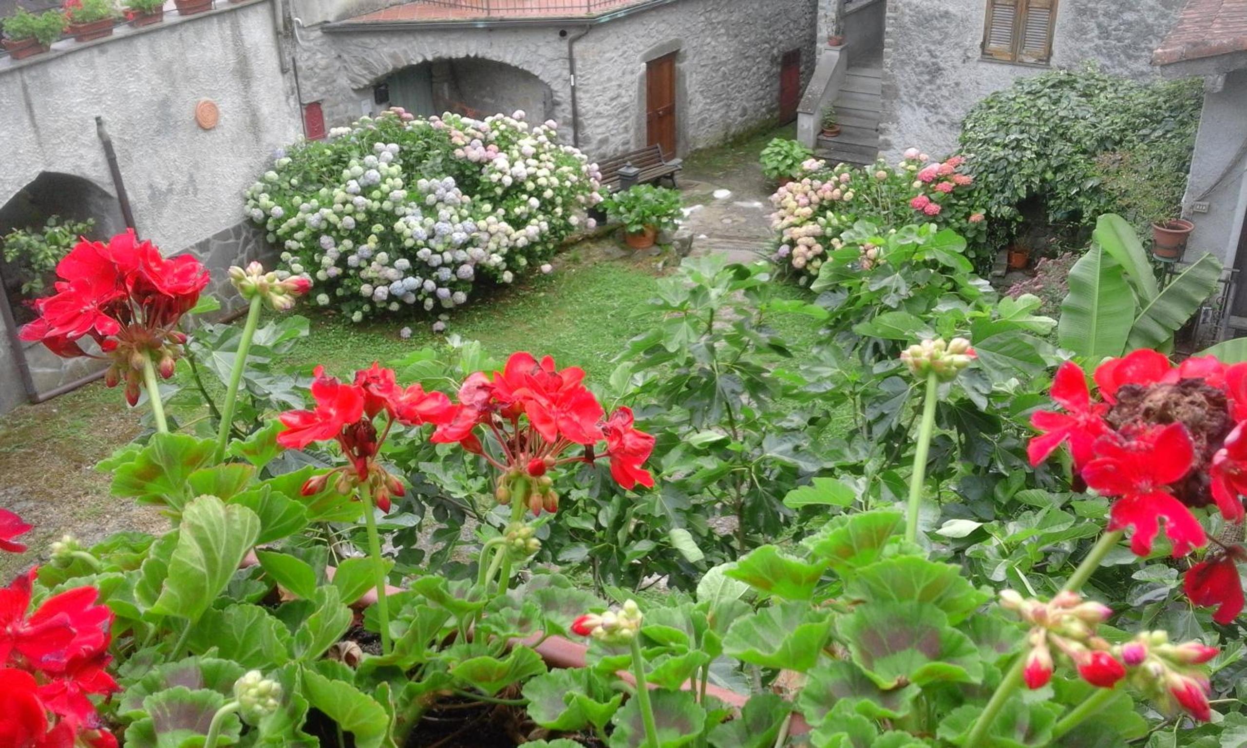 Photo 29