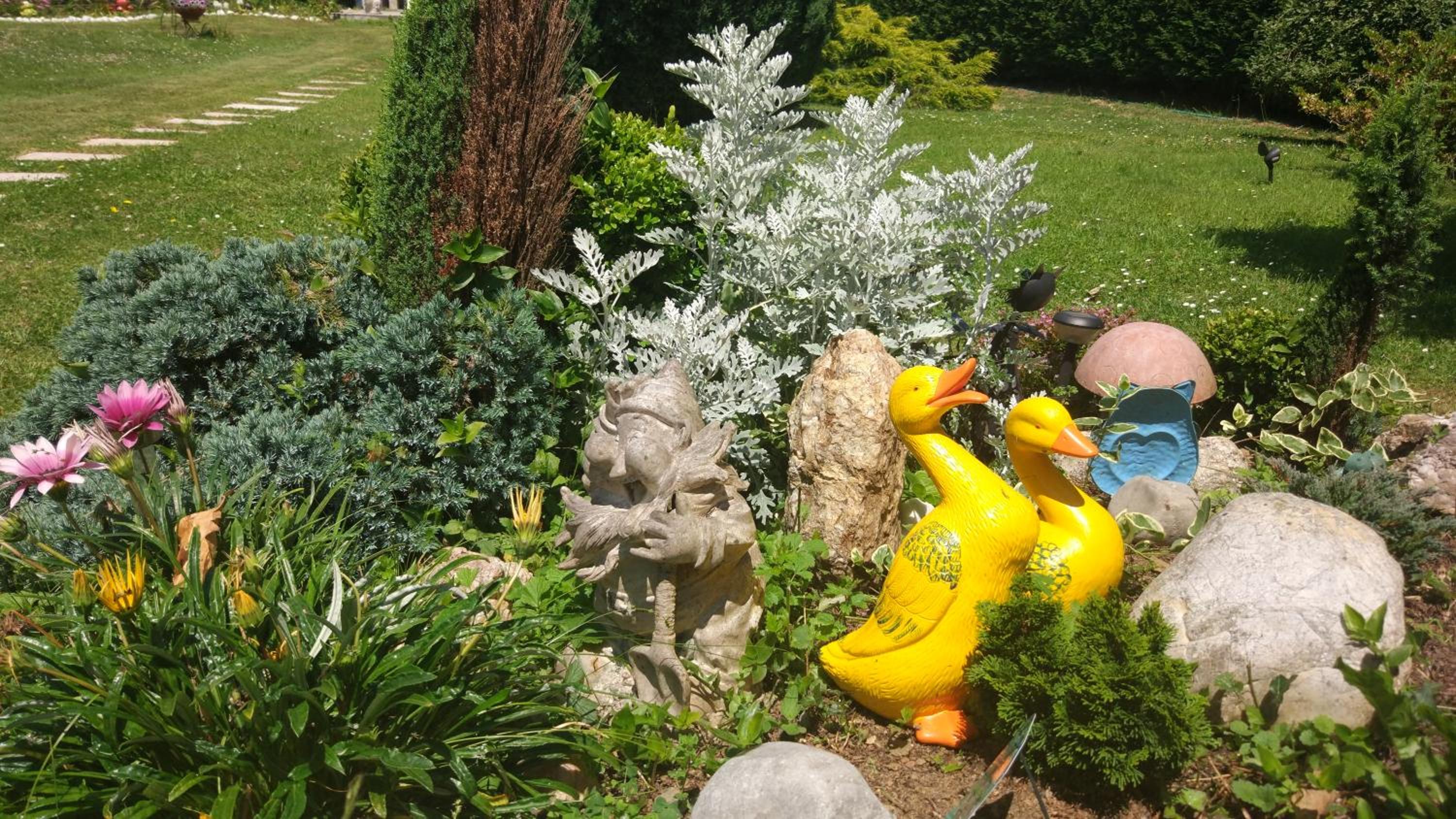Photo 26