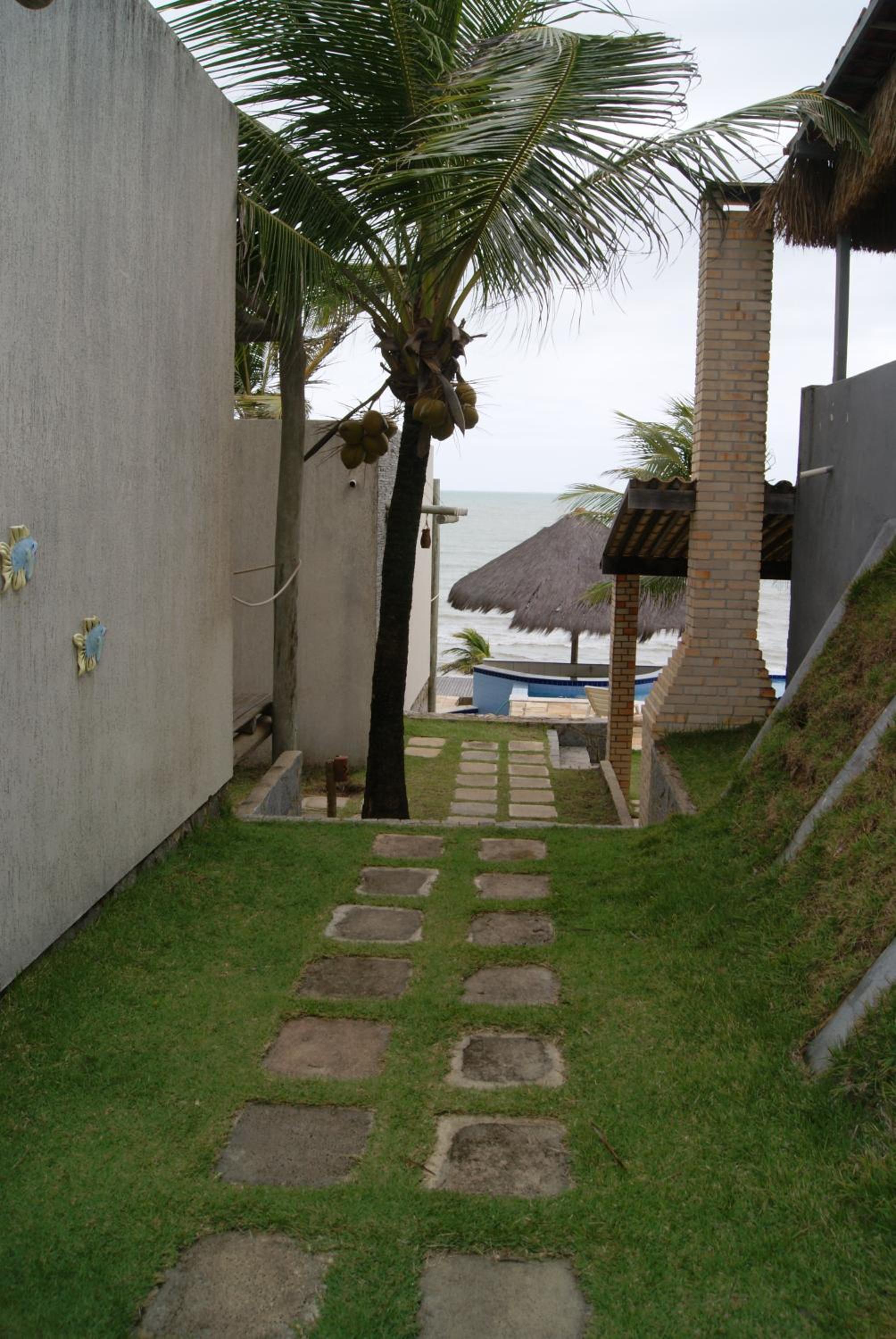 Photo 31