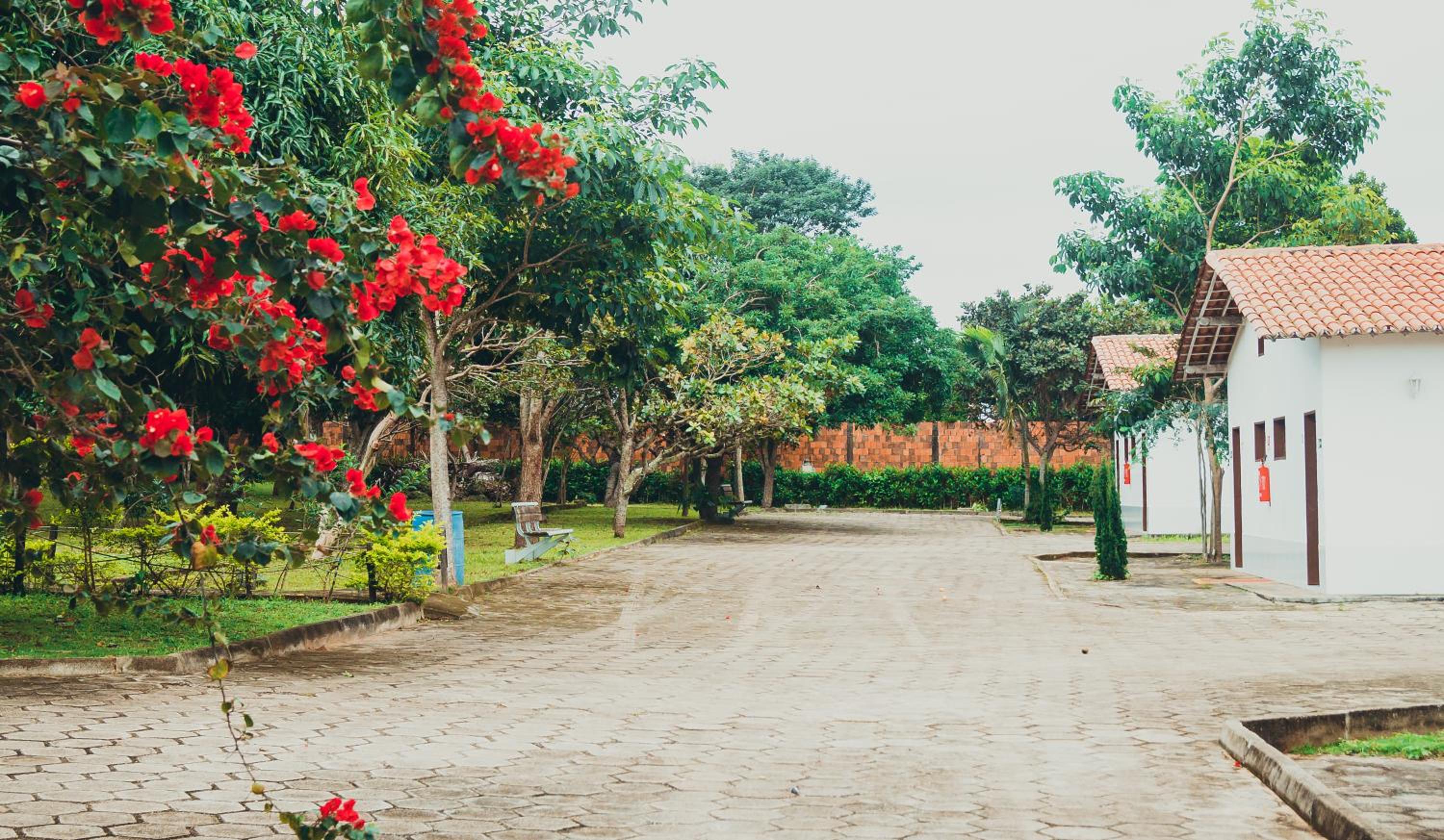 Hotel Ibiapaba, photo 31