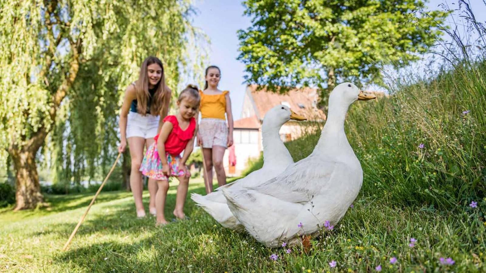 Urlaub am Regen – Ferienhof Dirnberger