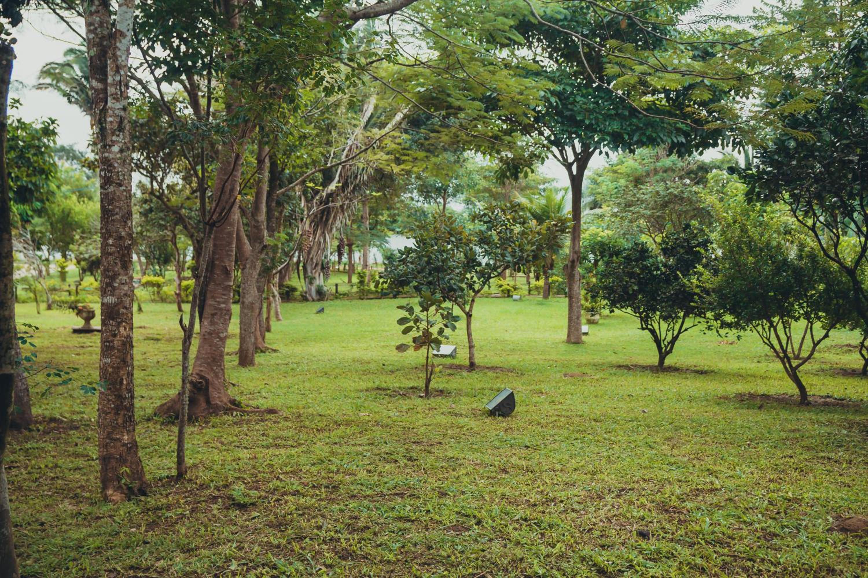 Hotel Ibiapaba