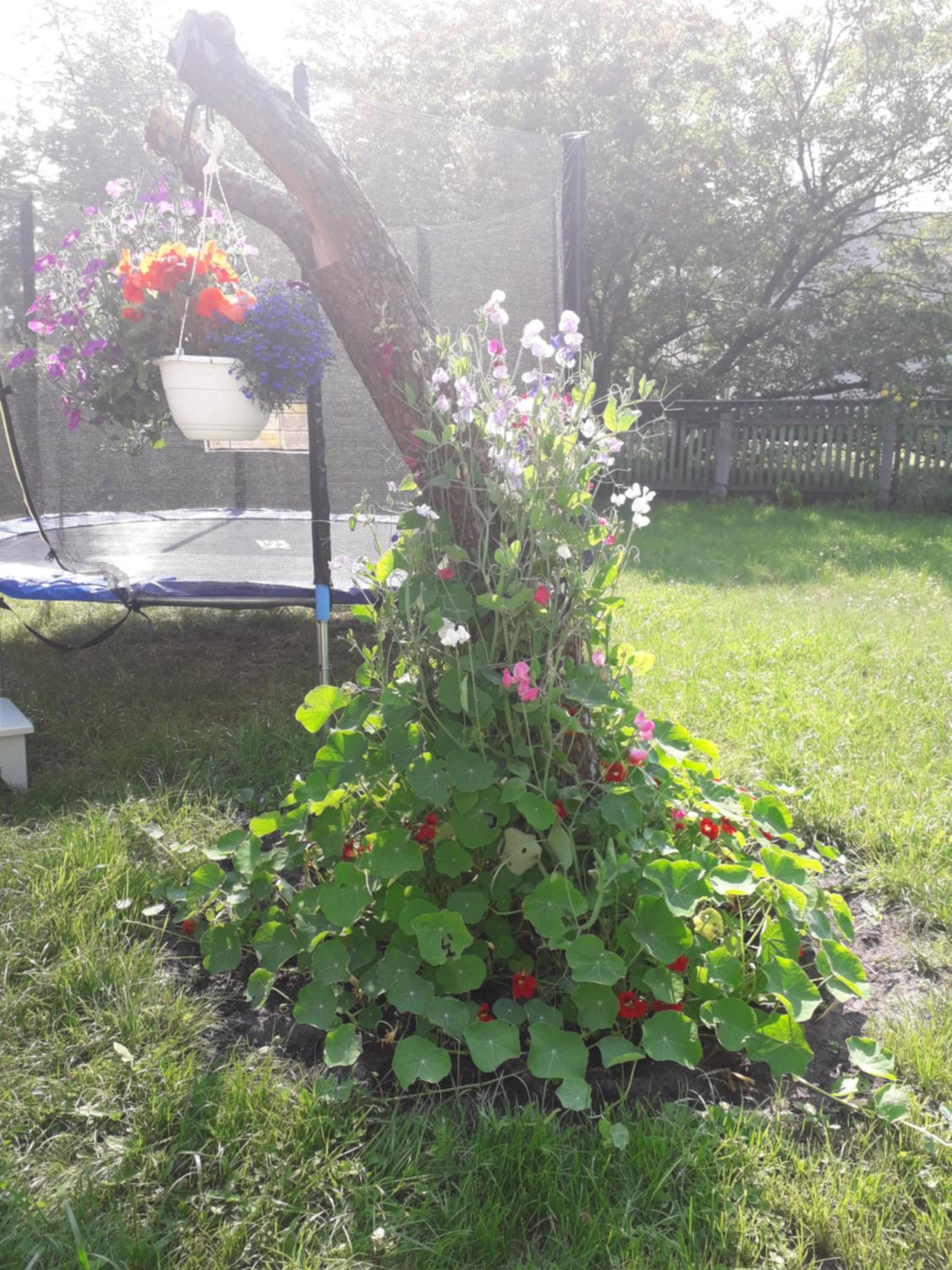 Photo 37