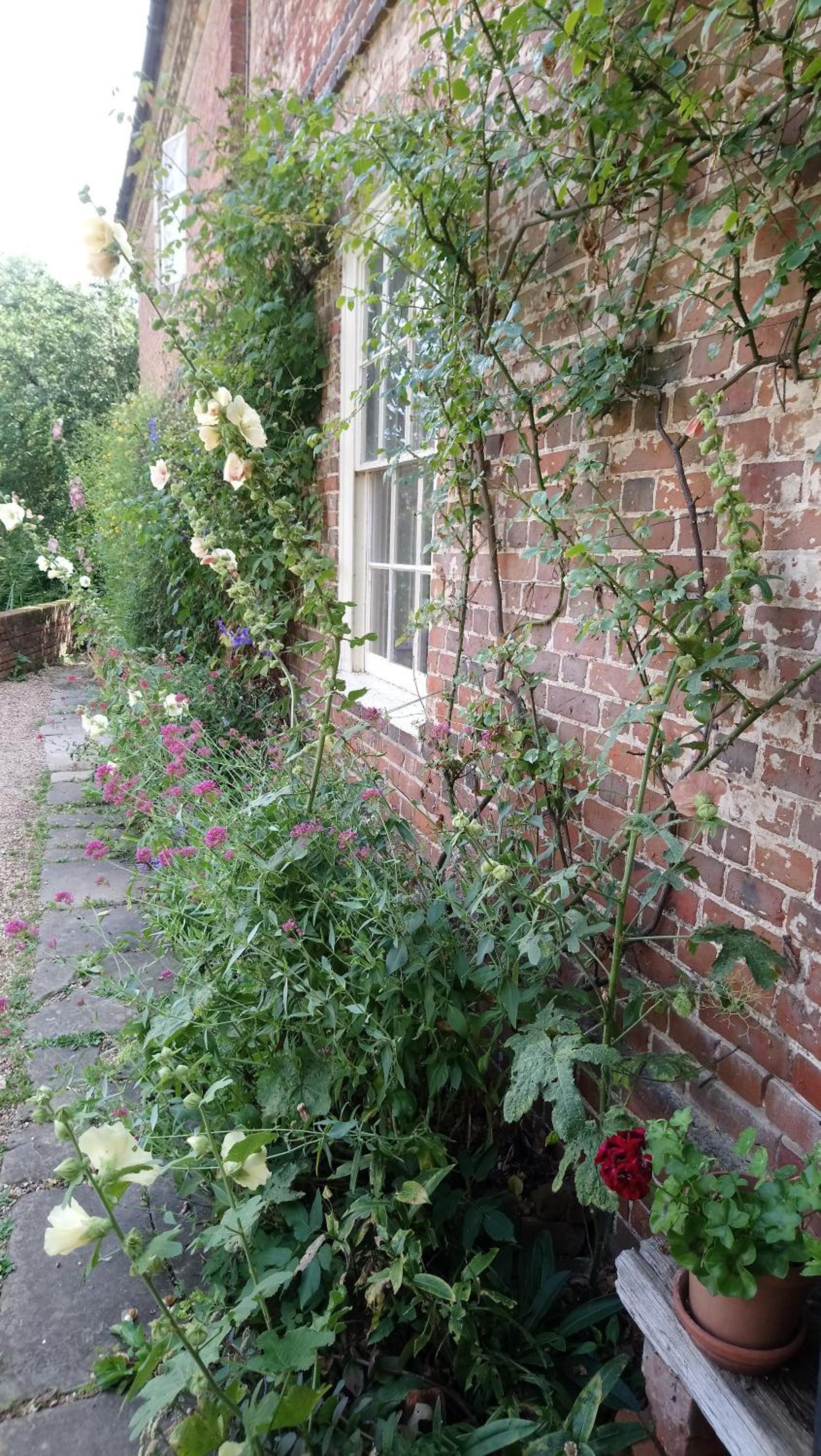 Photo 26