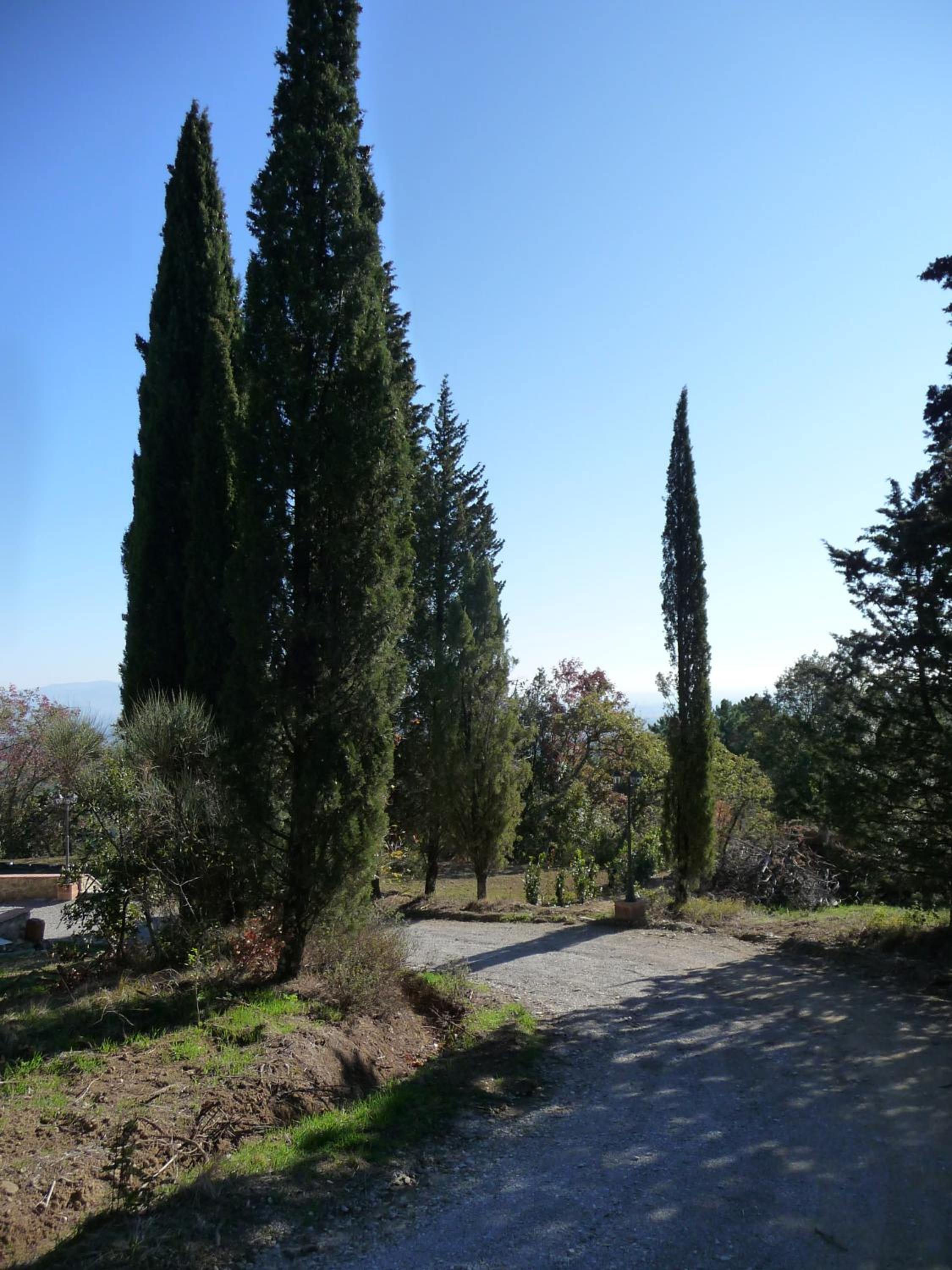 Villa Rondinocco