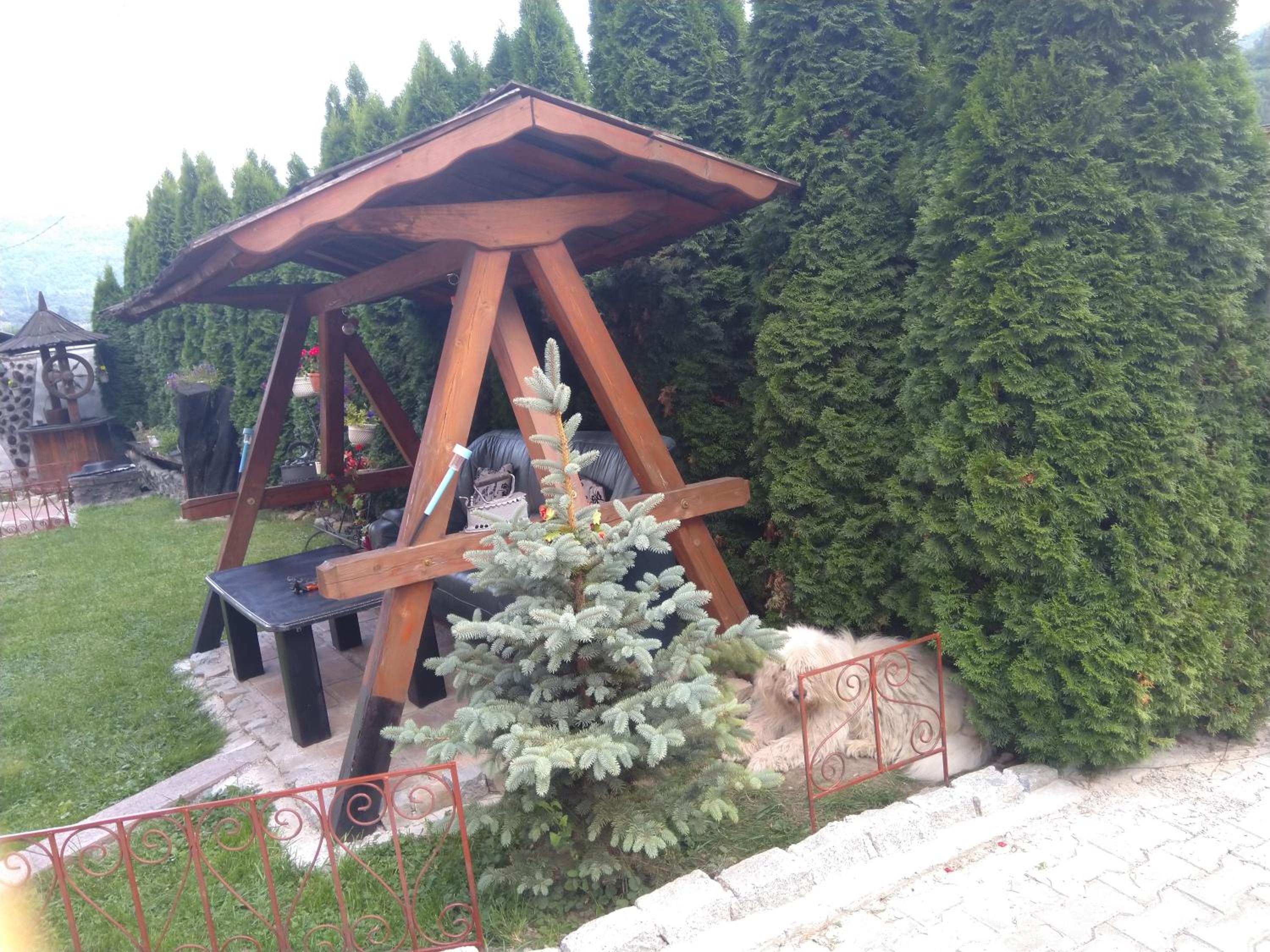 Photo 11
