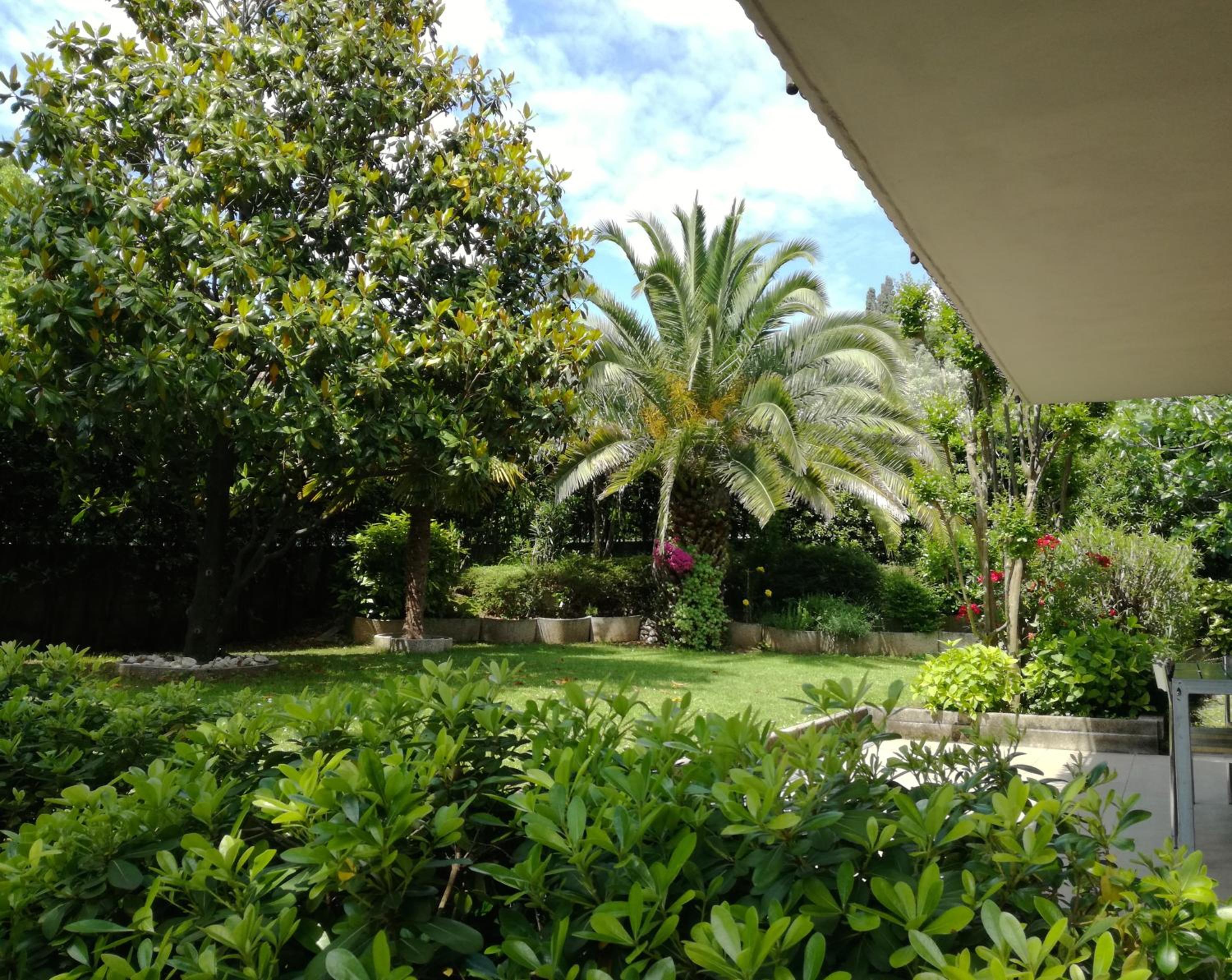 Appartamento giardino sugli ulivi view 5