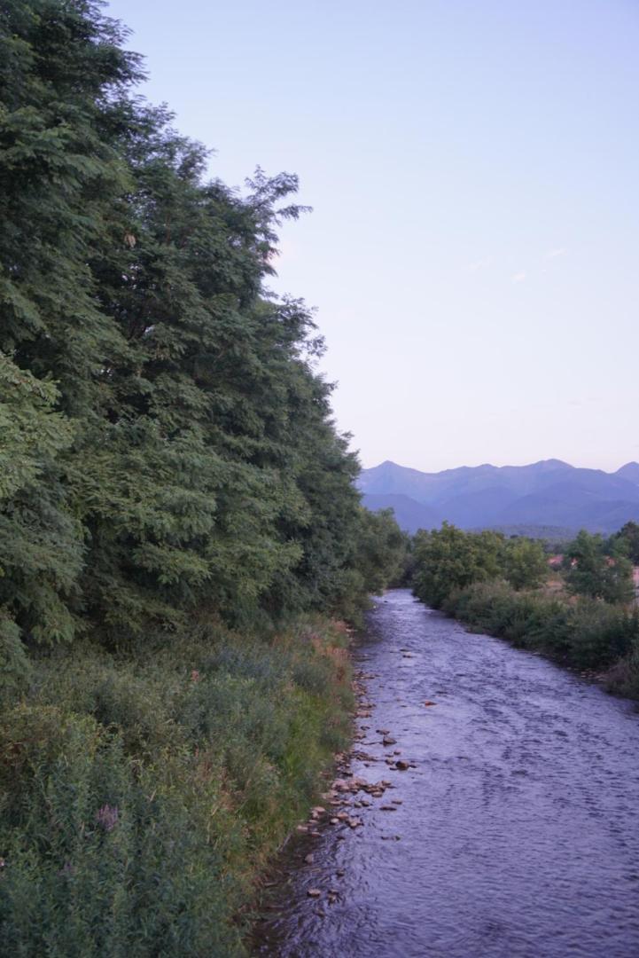 Photo 49