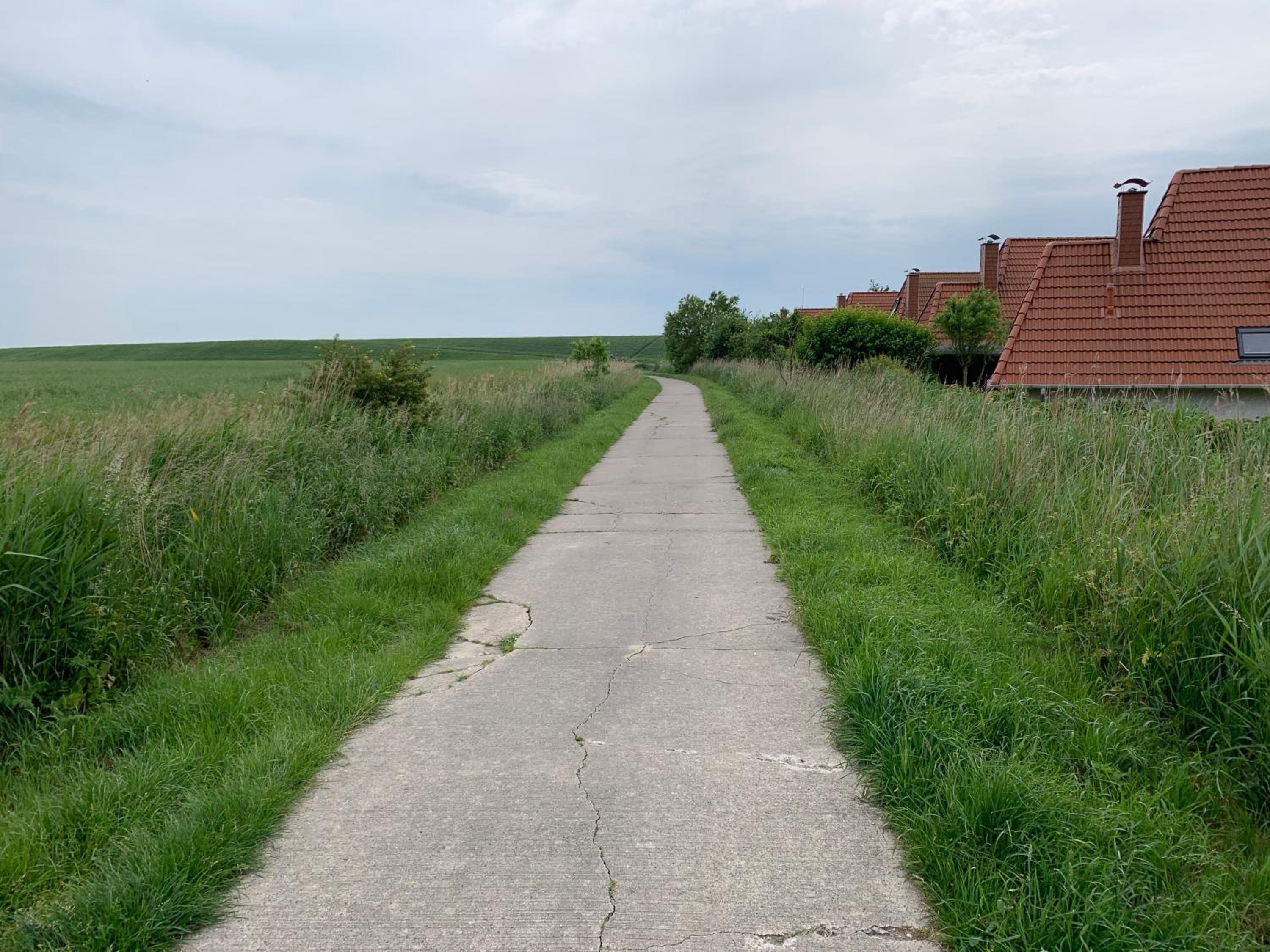 Photo 24