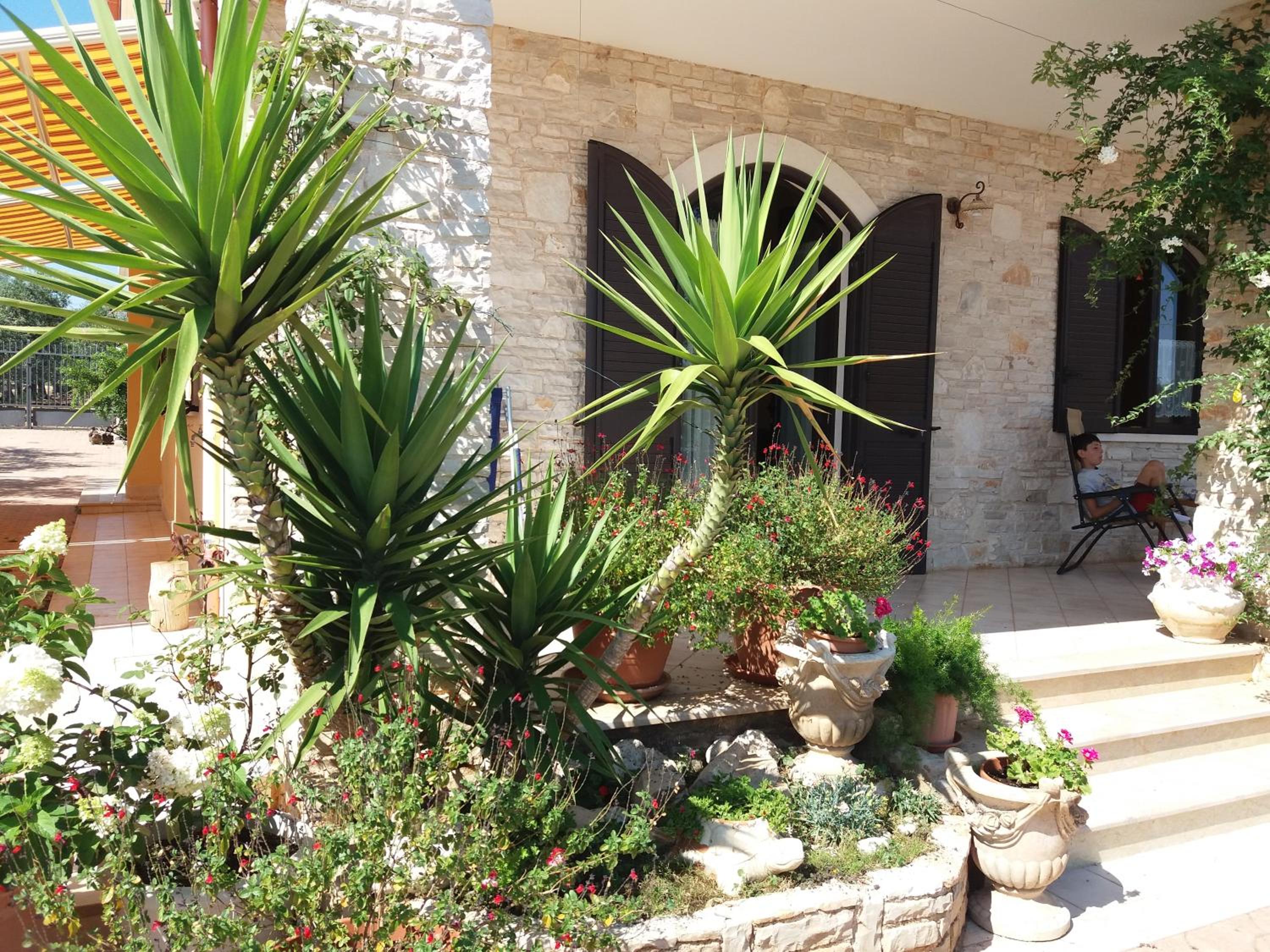 Villa Calendula