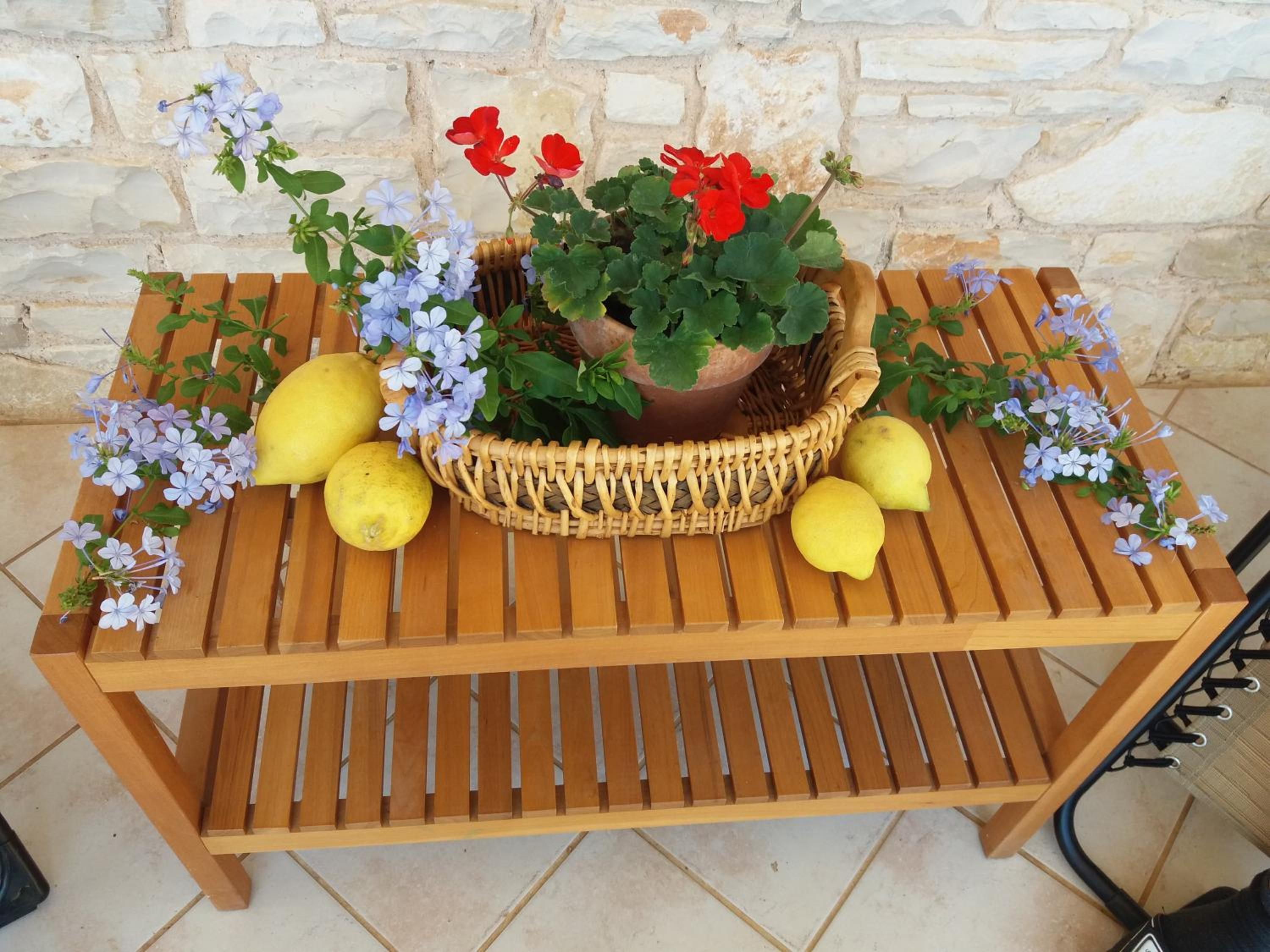 Villa Calendula