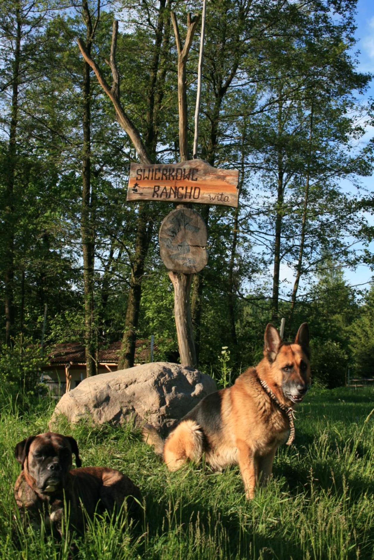 Świerkowe Rancho view 3