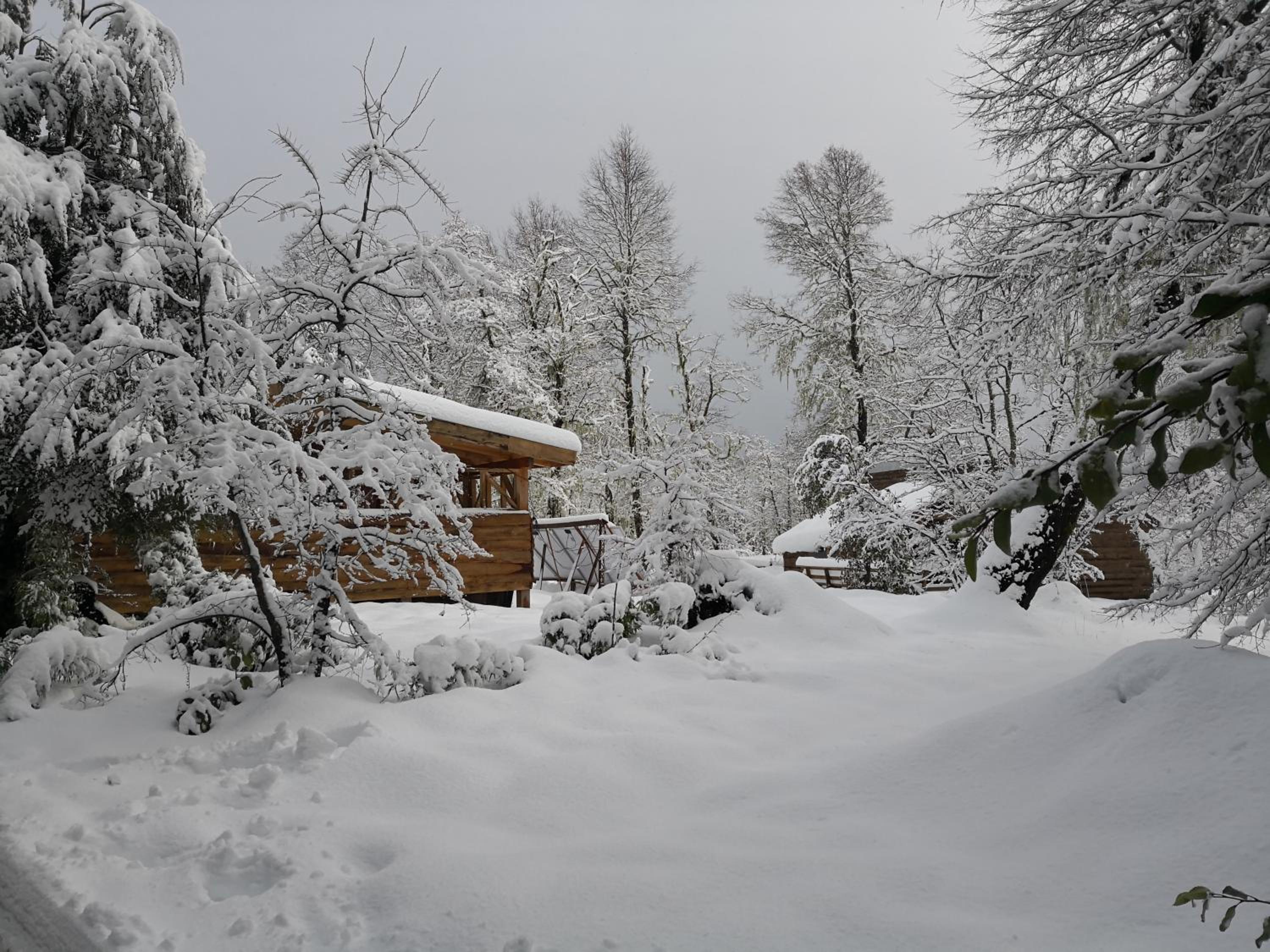 Lodge Palguin Alto