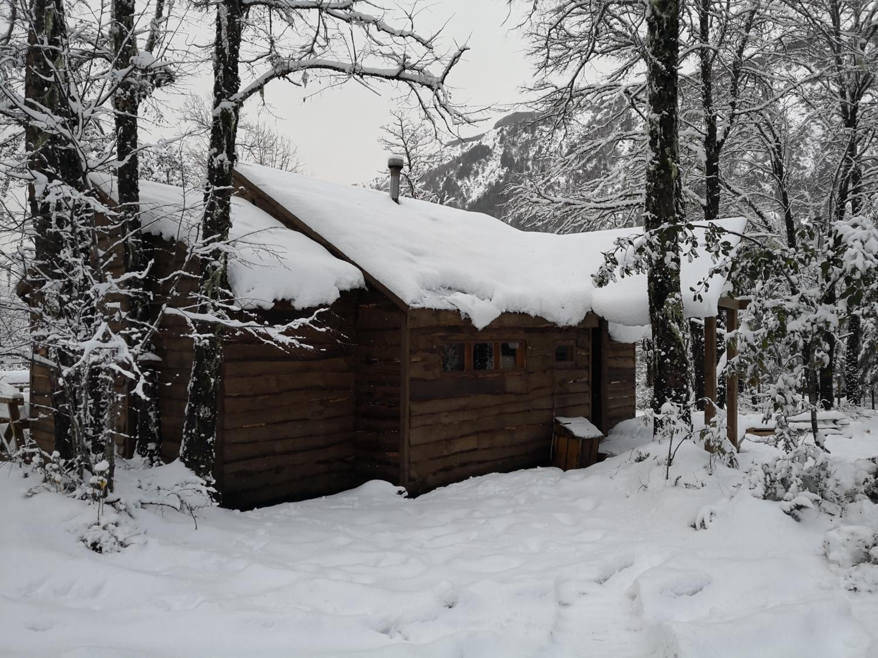Lodge Palguin Alto