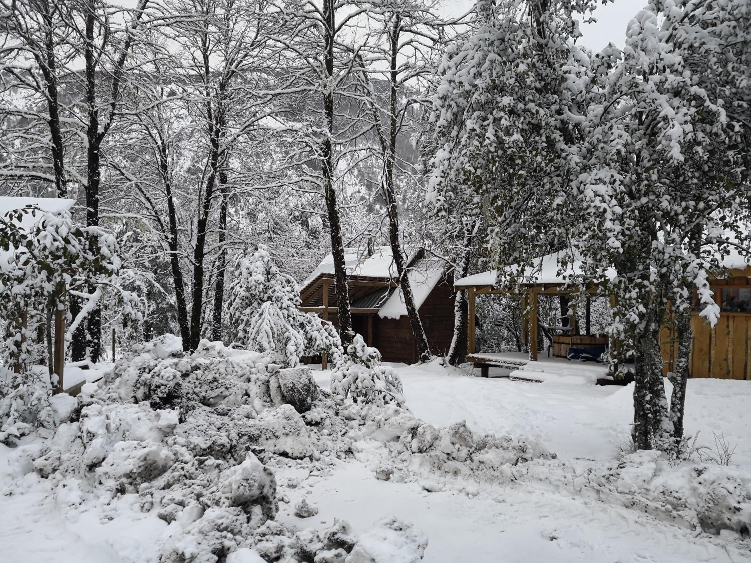 Lodge Palguin Alto