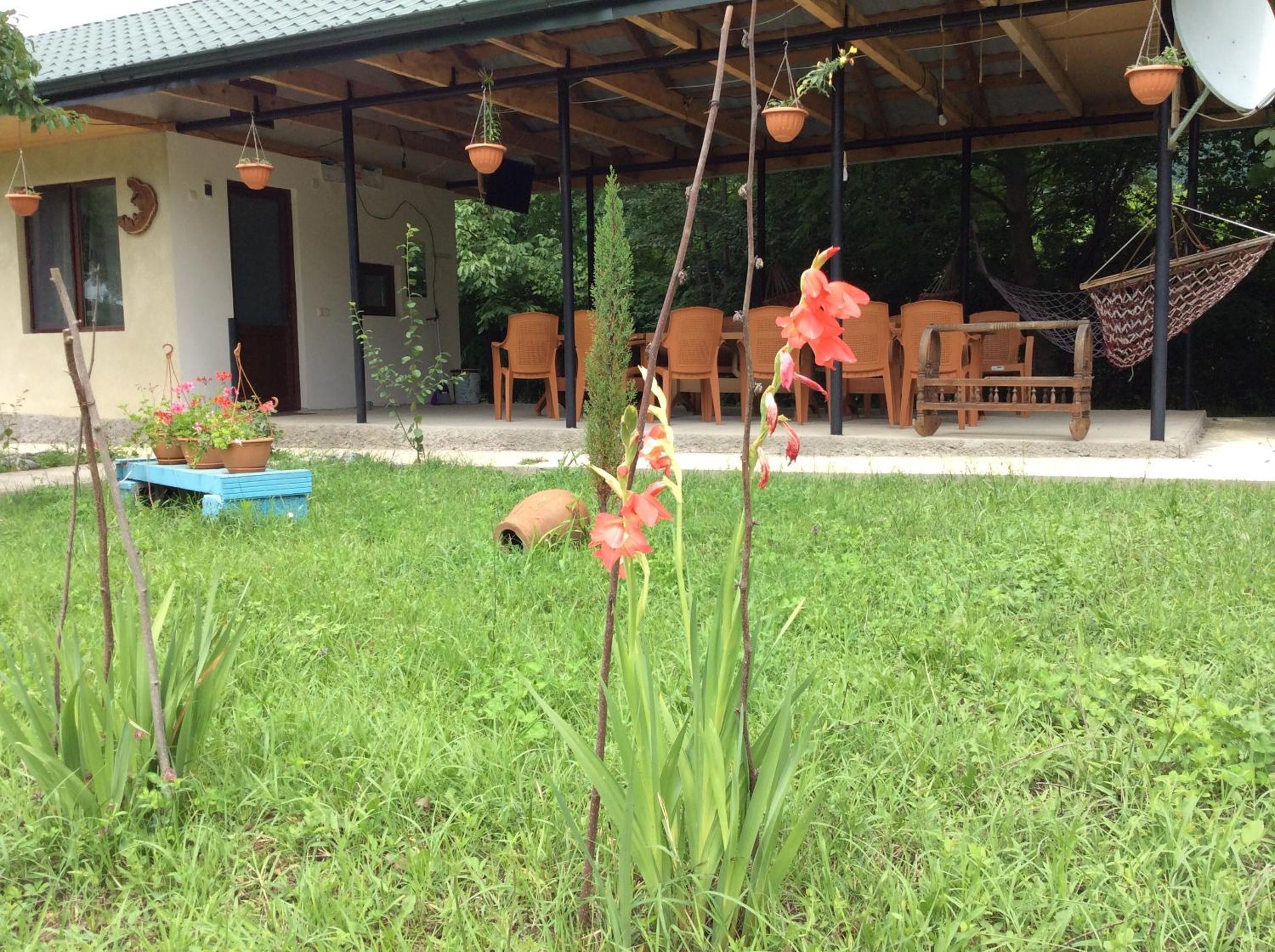 Photo 35