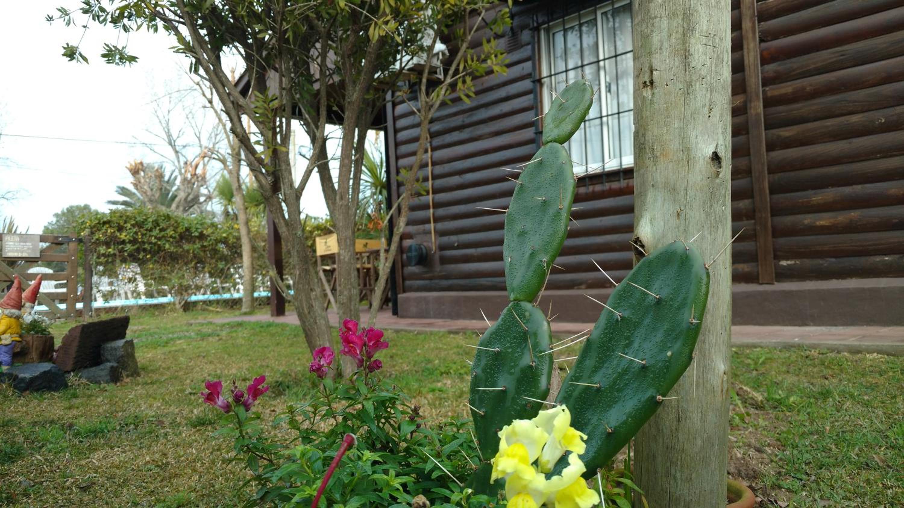 Los Tres Duendes