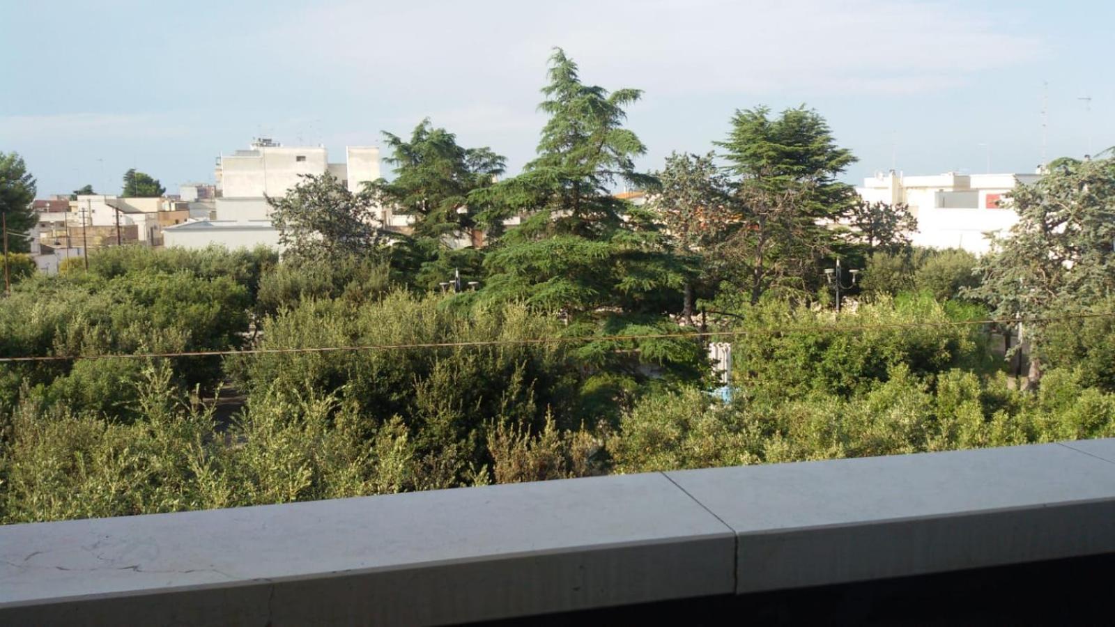 Photo 44