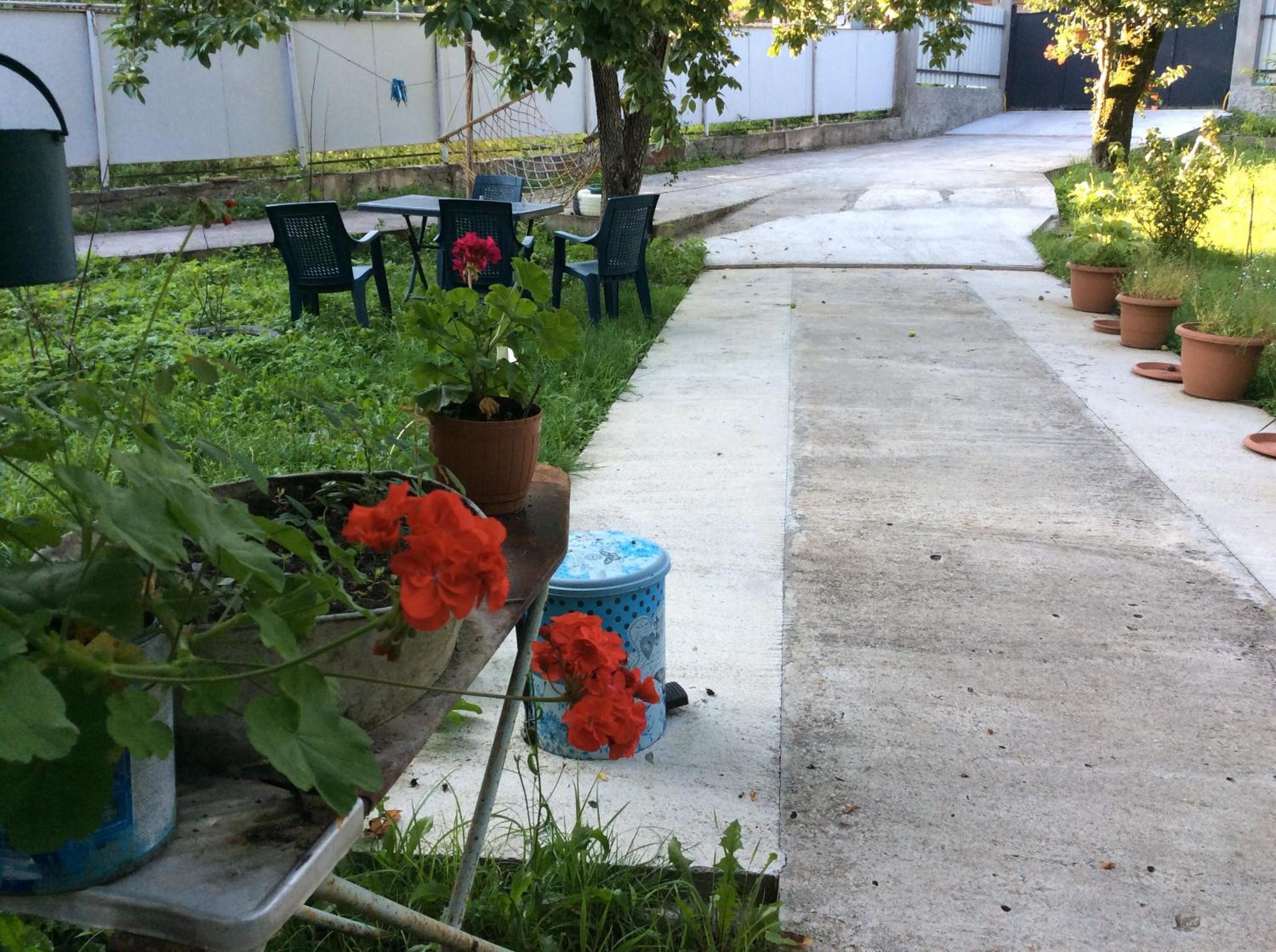 Photo 23
