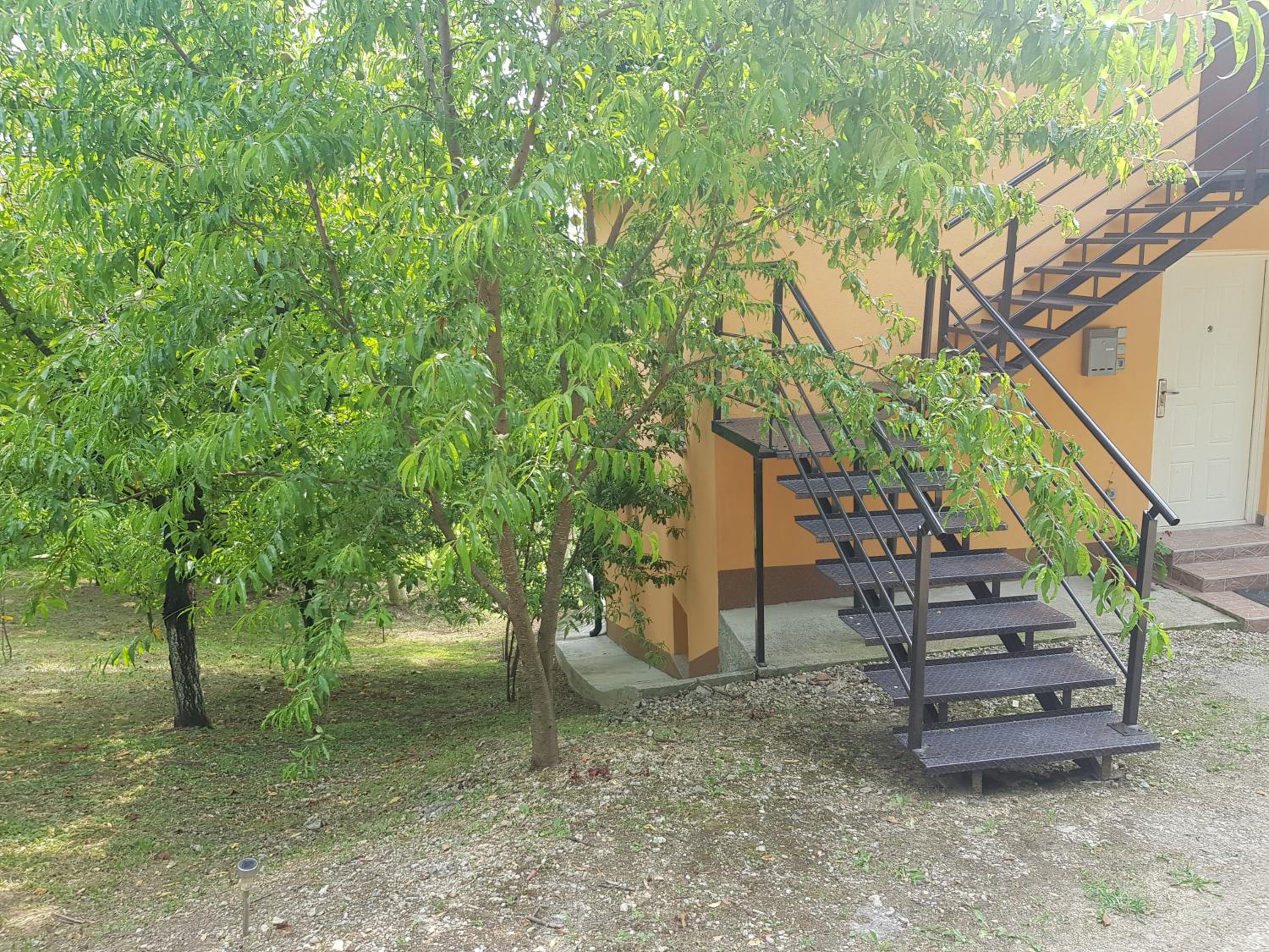 Photo 31