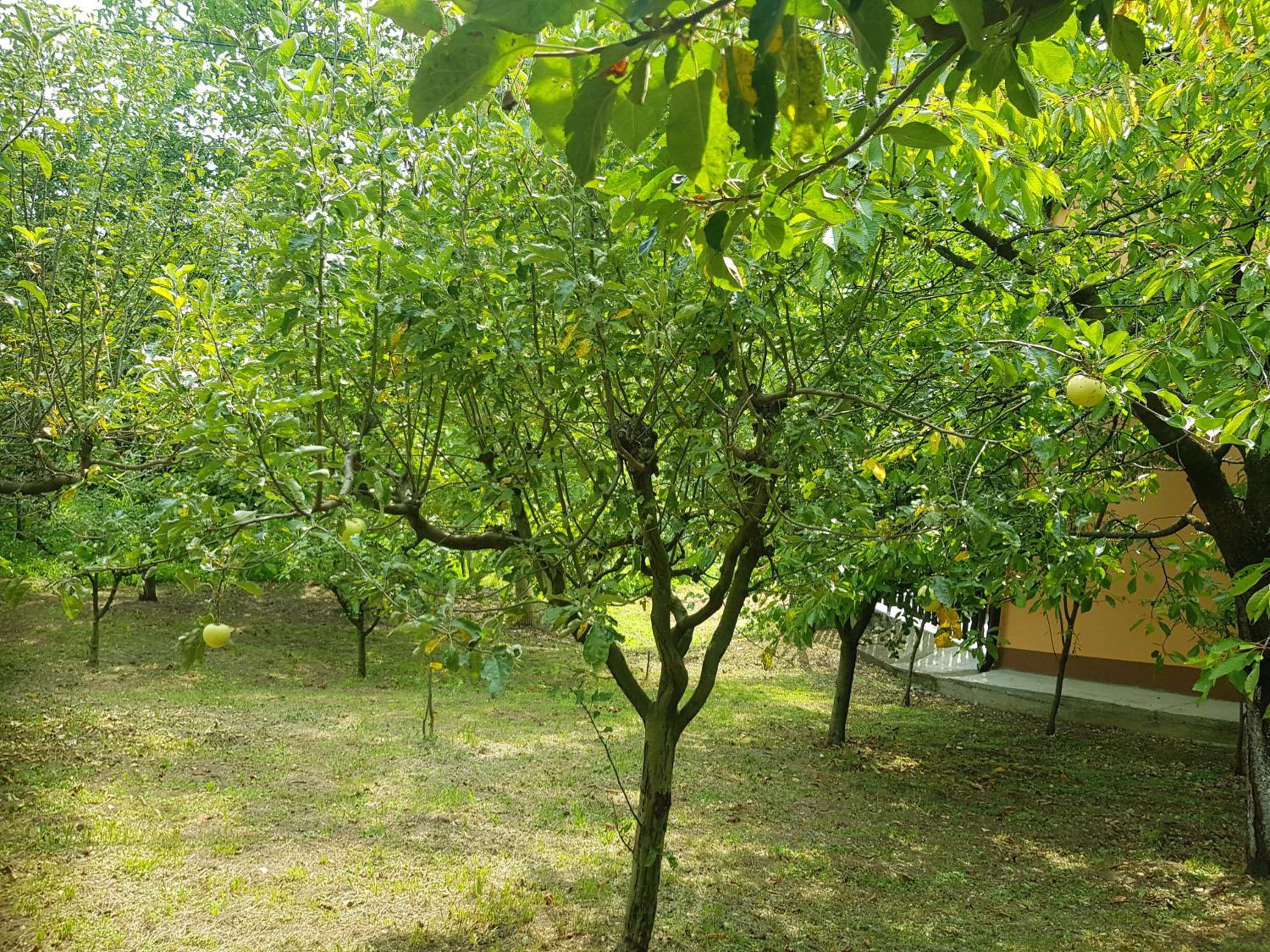 Photo 29