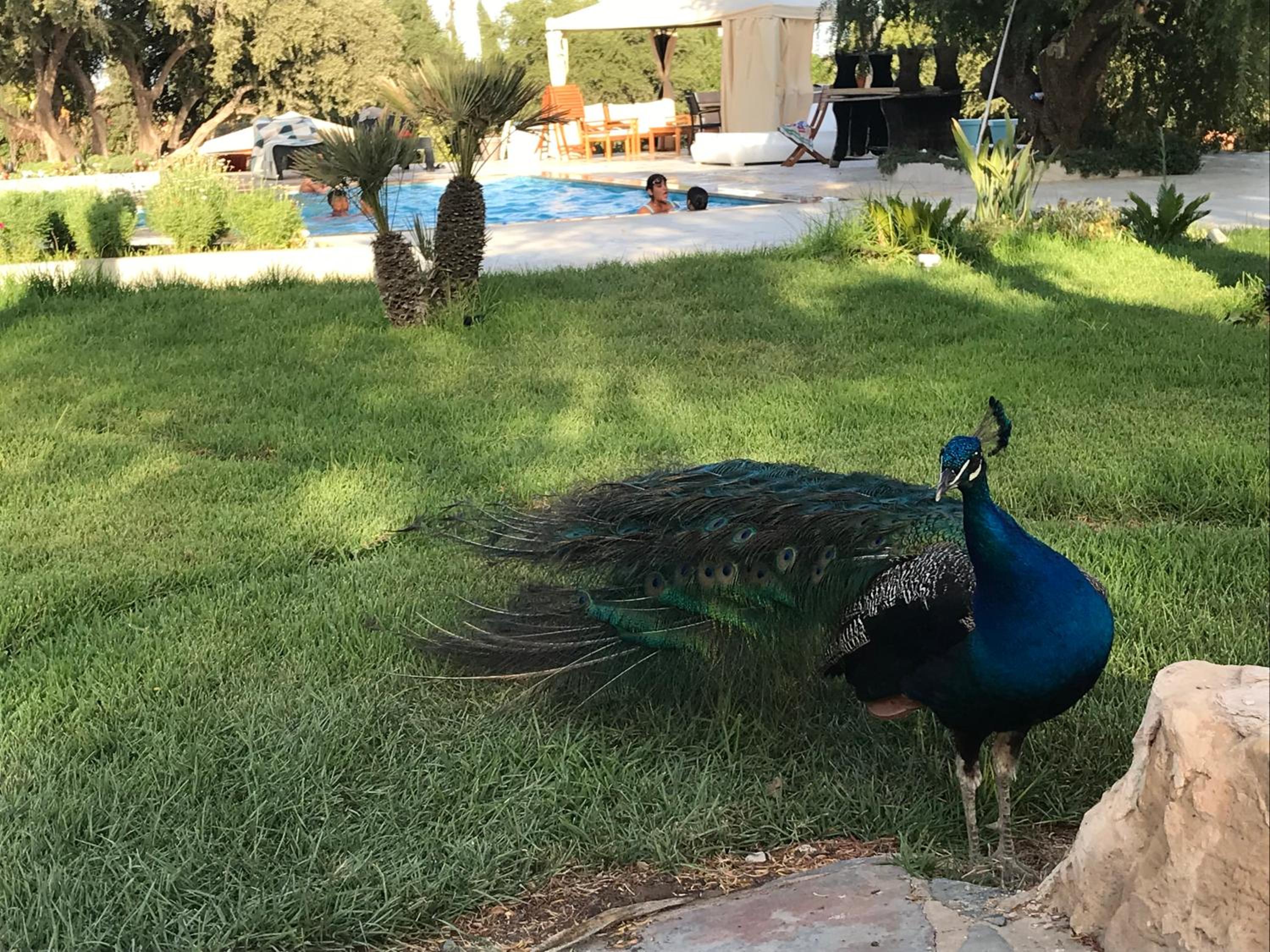 Villa blanche piscine chauffée view 3