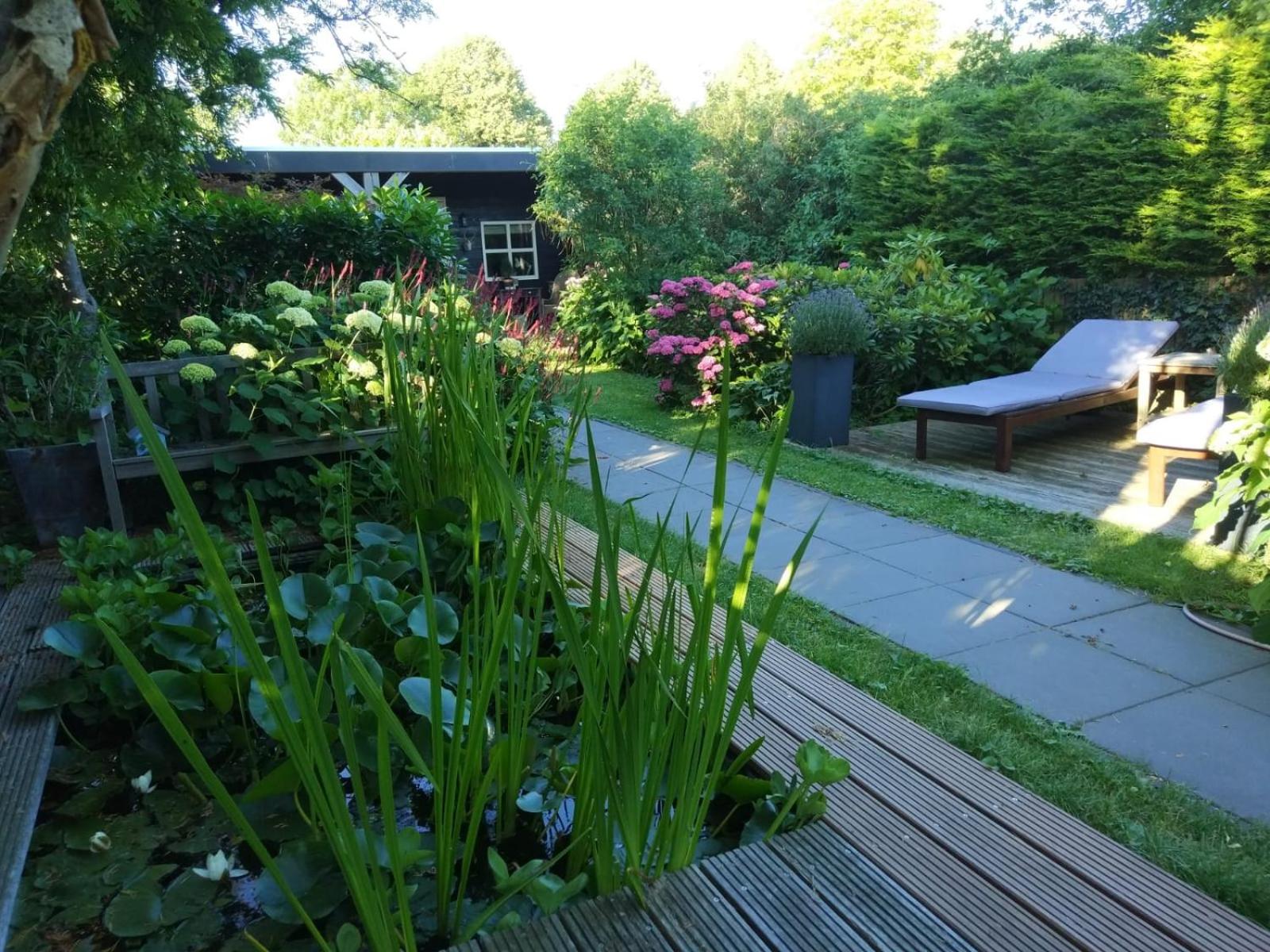 Photo 16