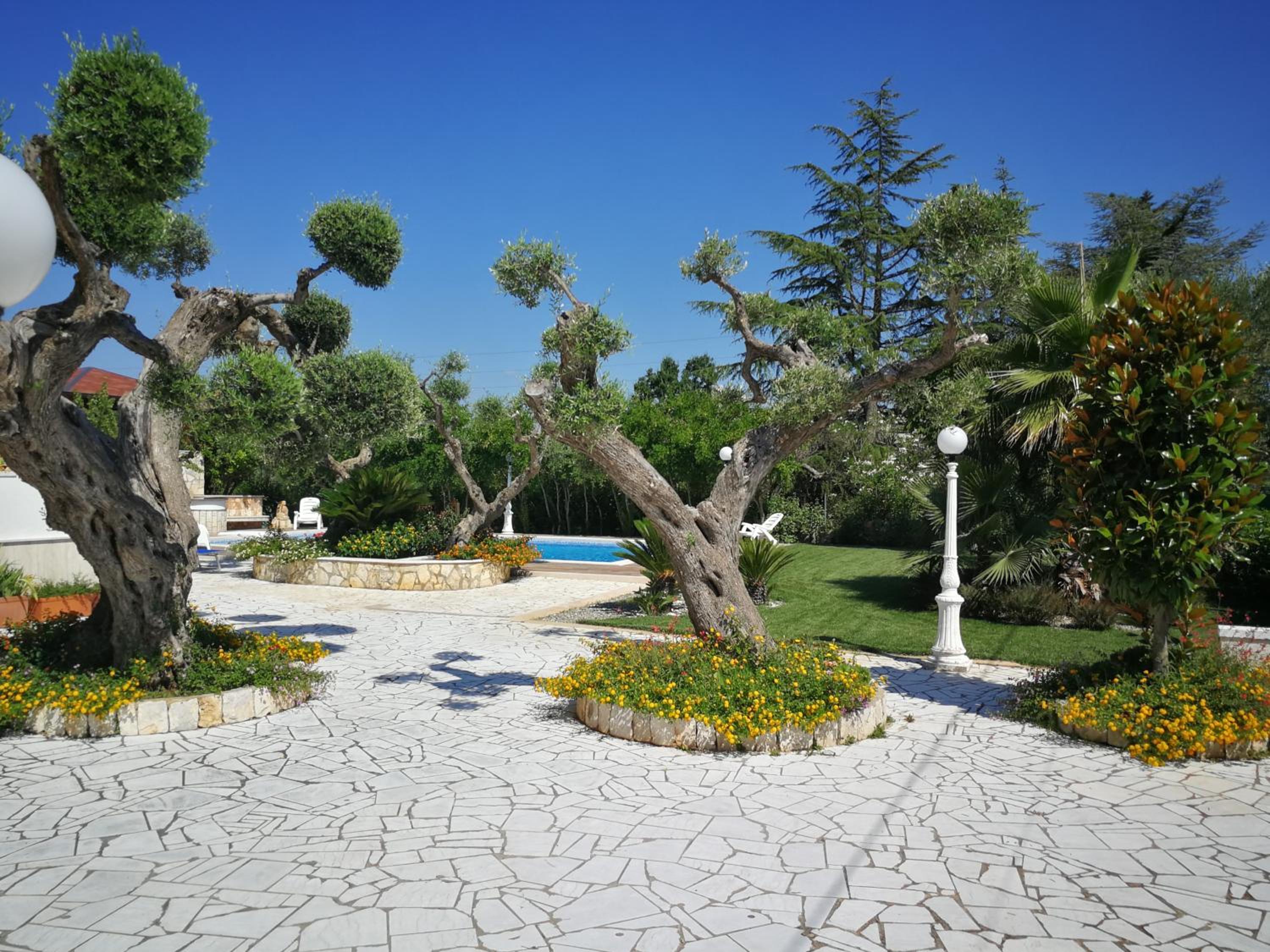 Photo 6
