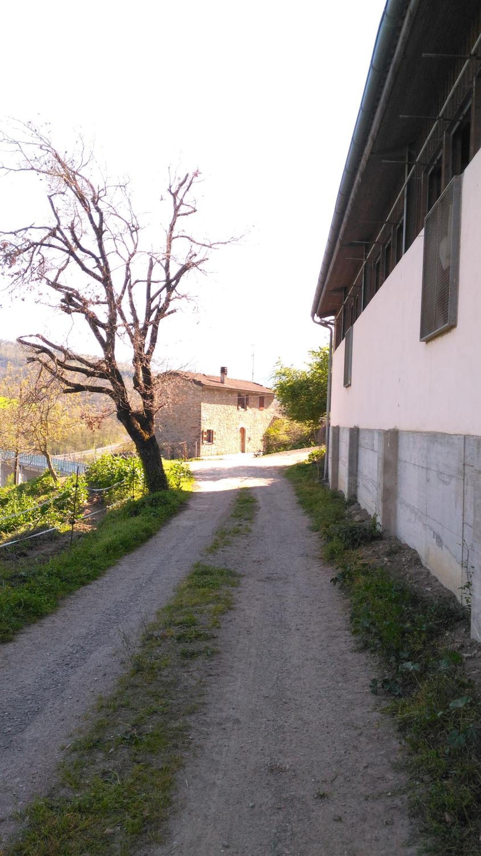 la cartiera dei benandanti