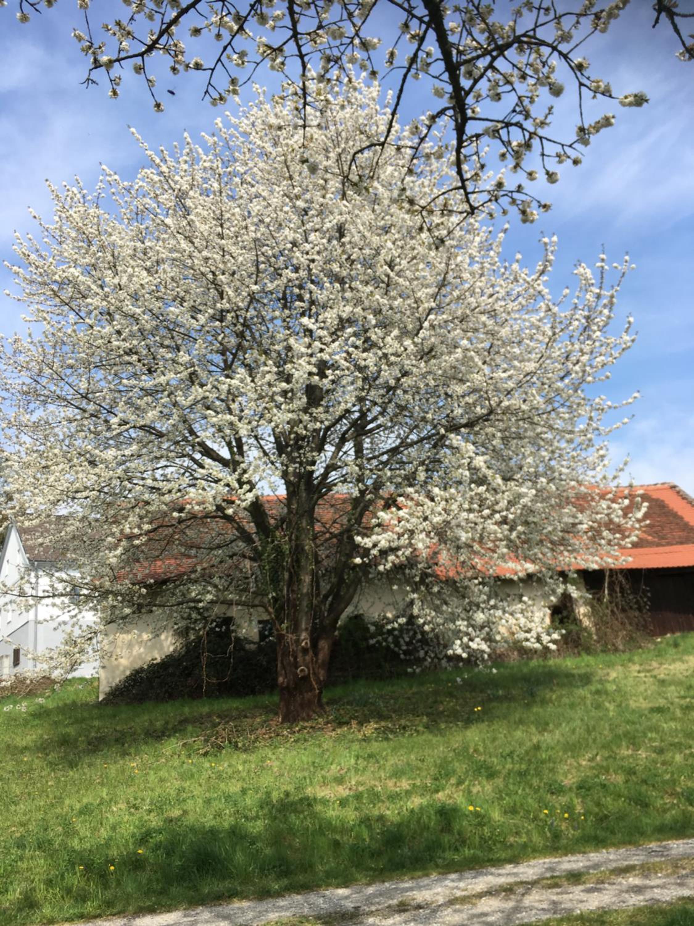 Landhaus GRETE