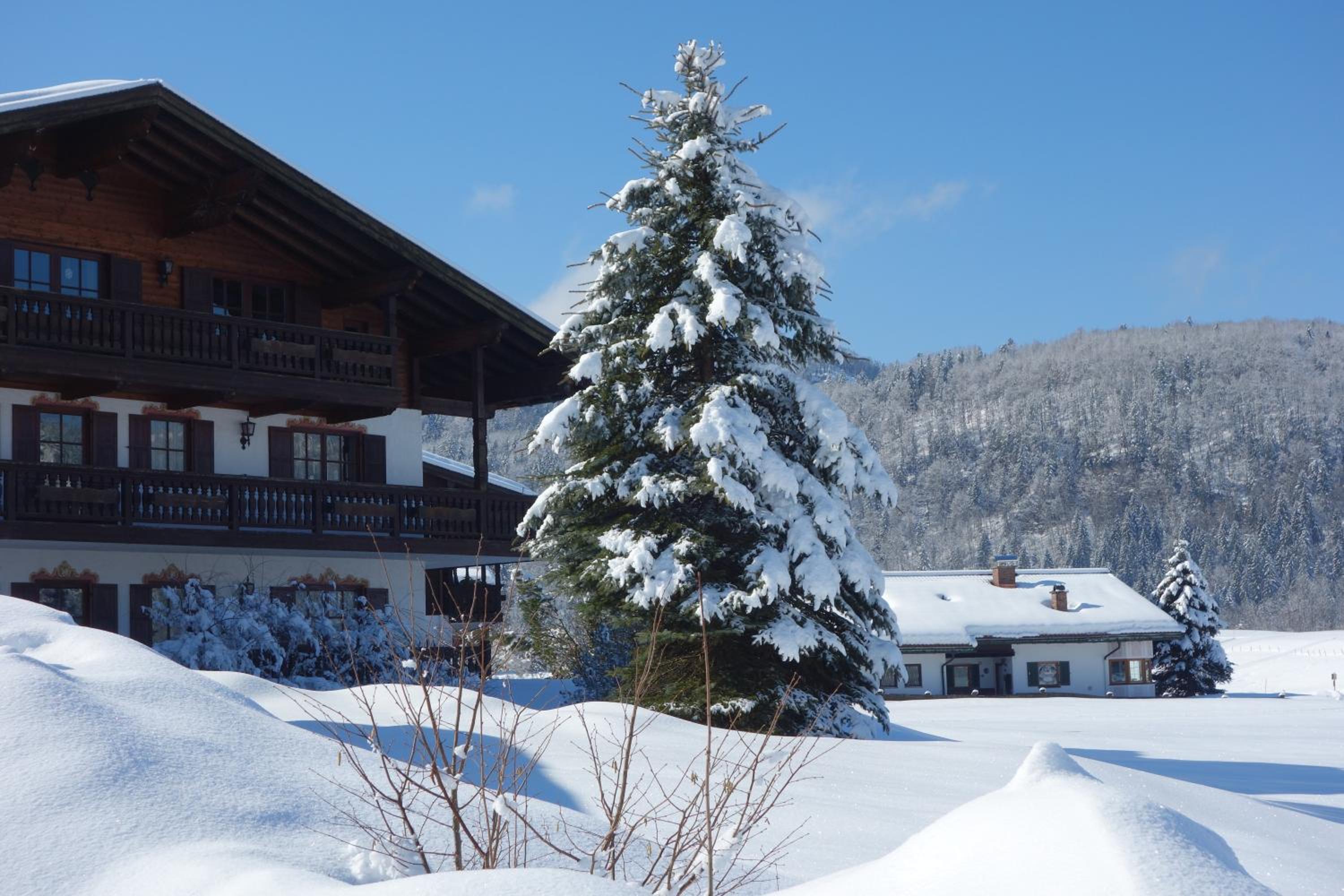 Dreigiebel im Haus Lohrey