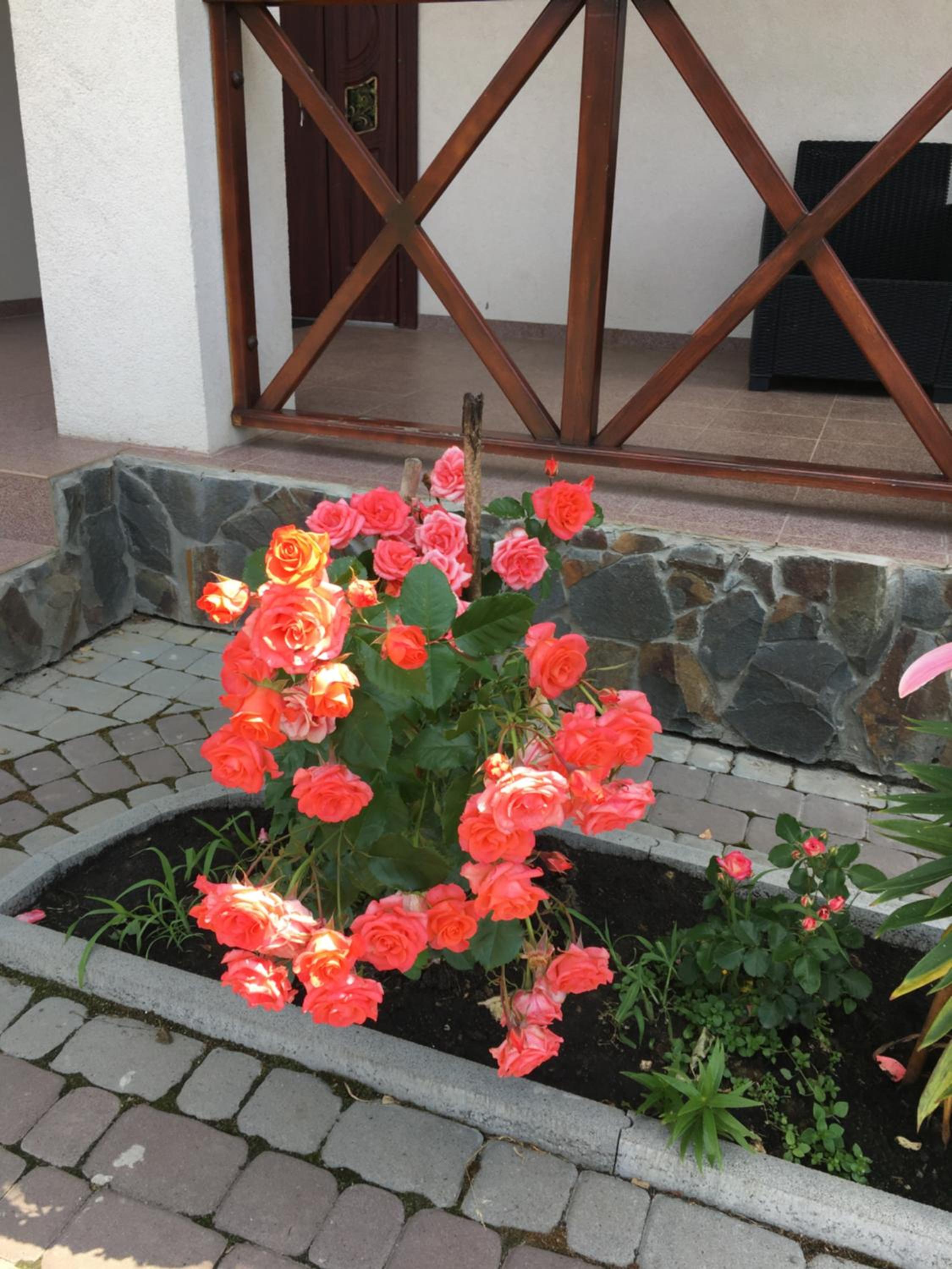 Photo 41